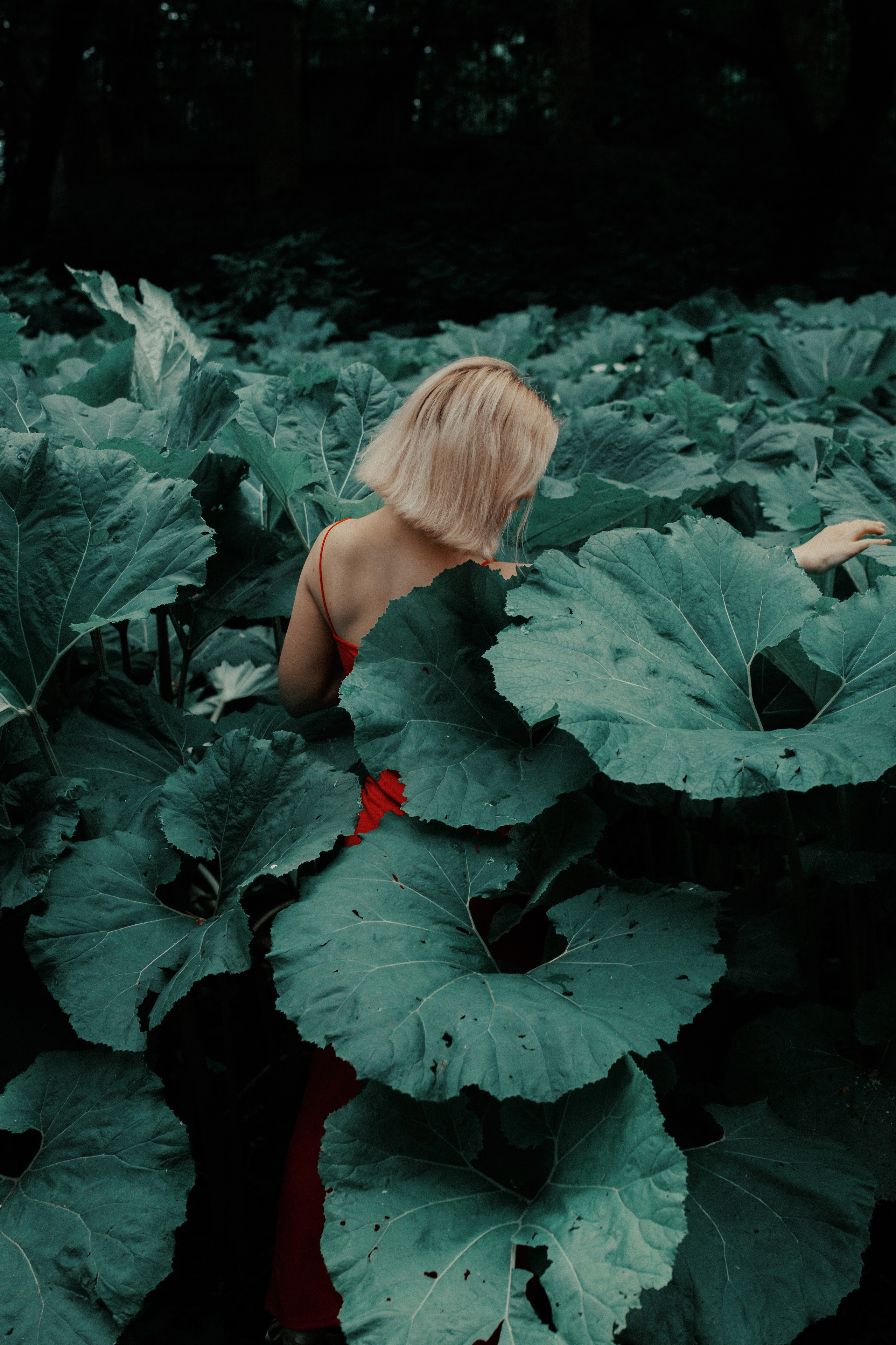 Портфолио. Photographer Victoria Bolotnikova