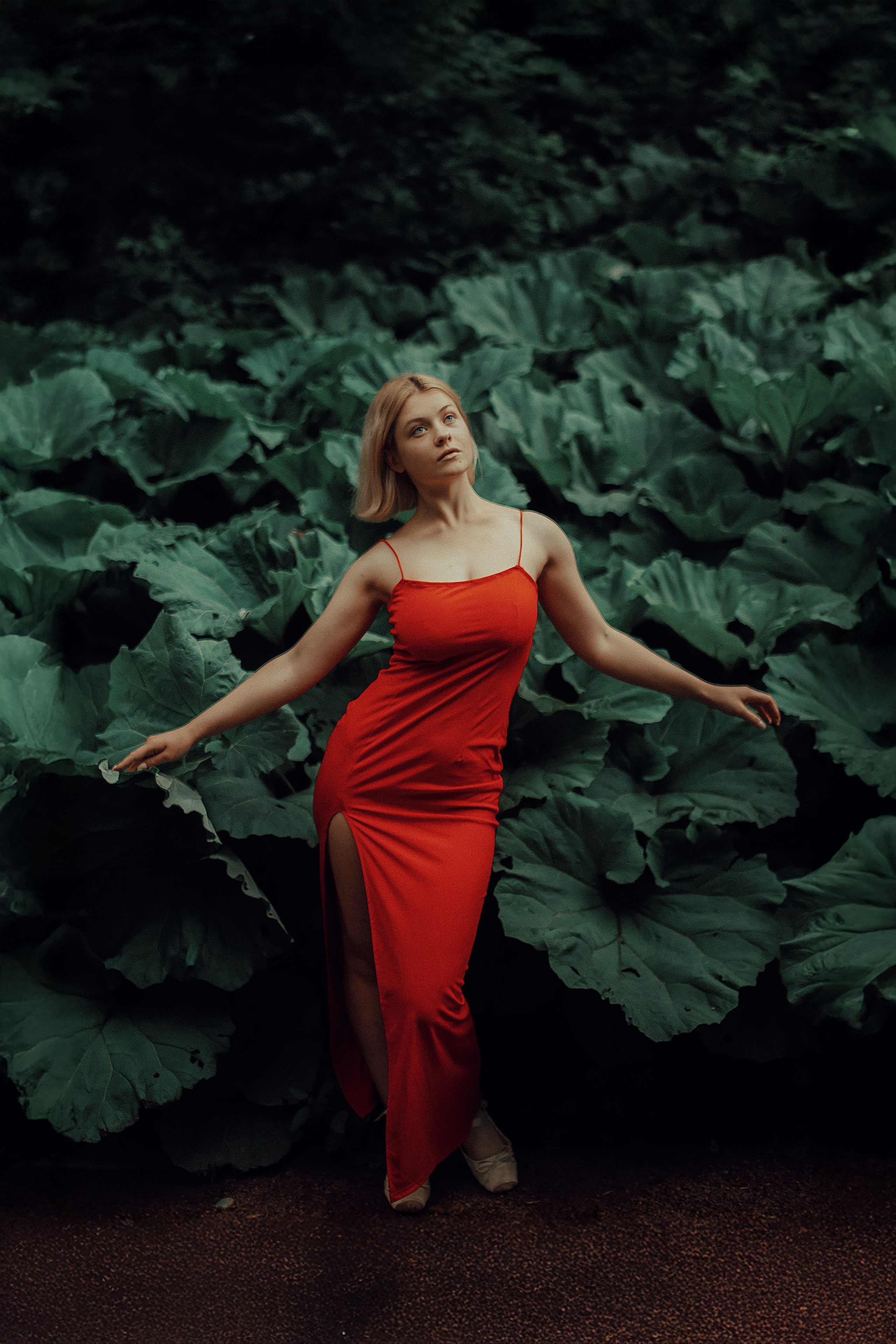 Портфолио. Photographer Victoria Bolotnikova