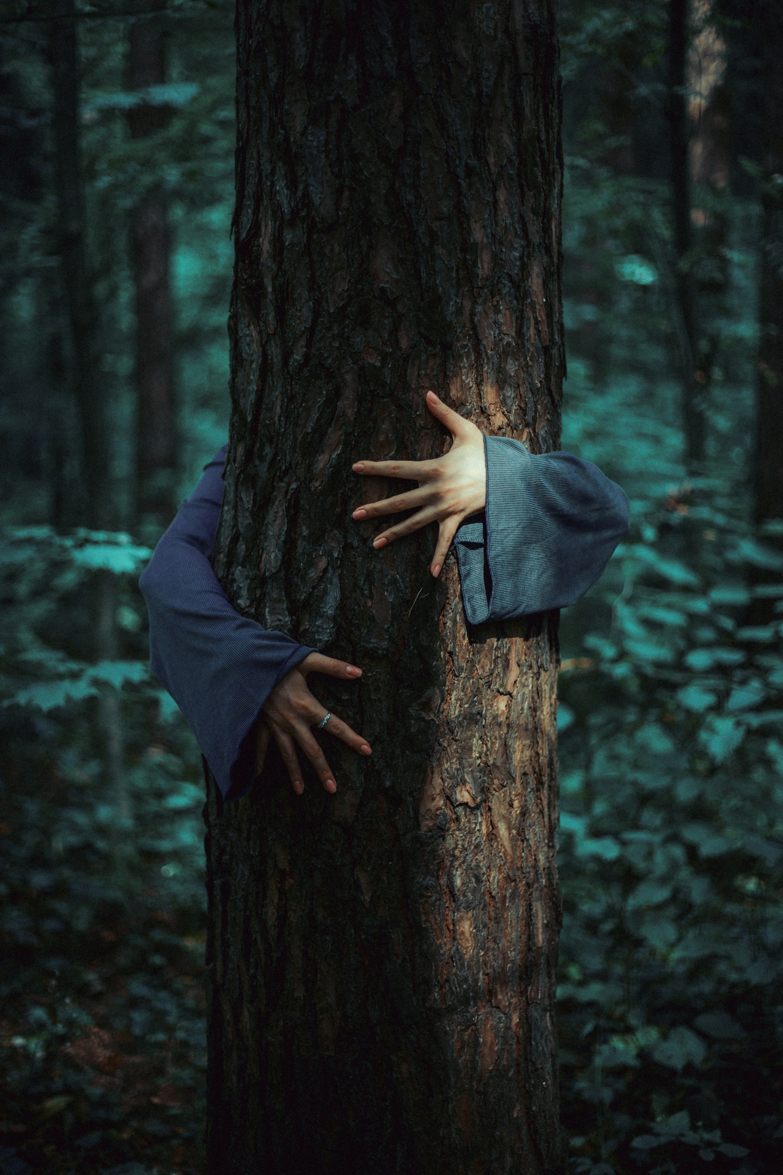 Портфолио. Photographer Victoria Bolotnikova