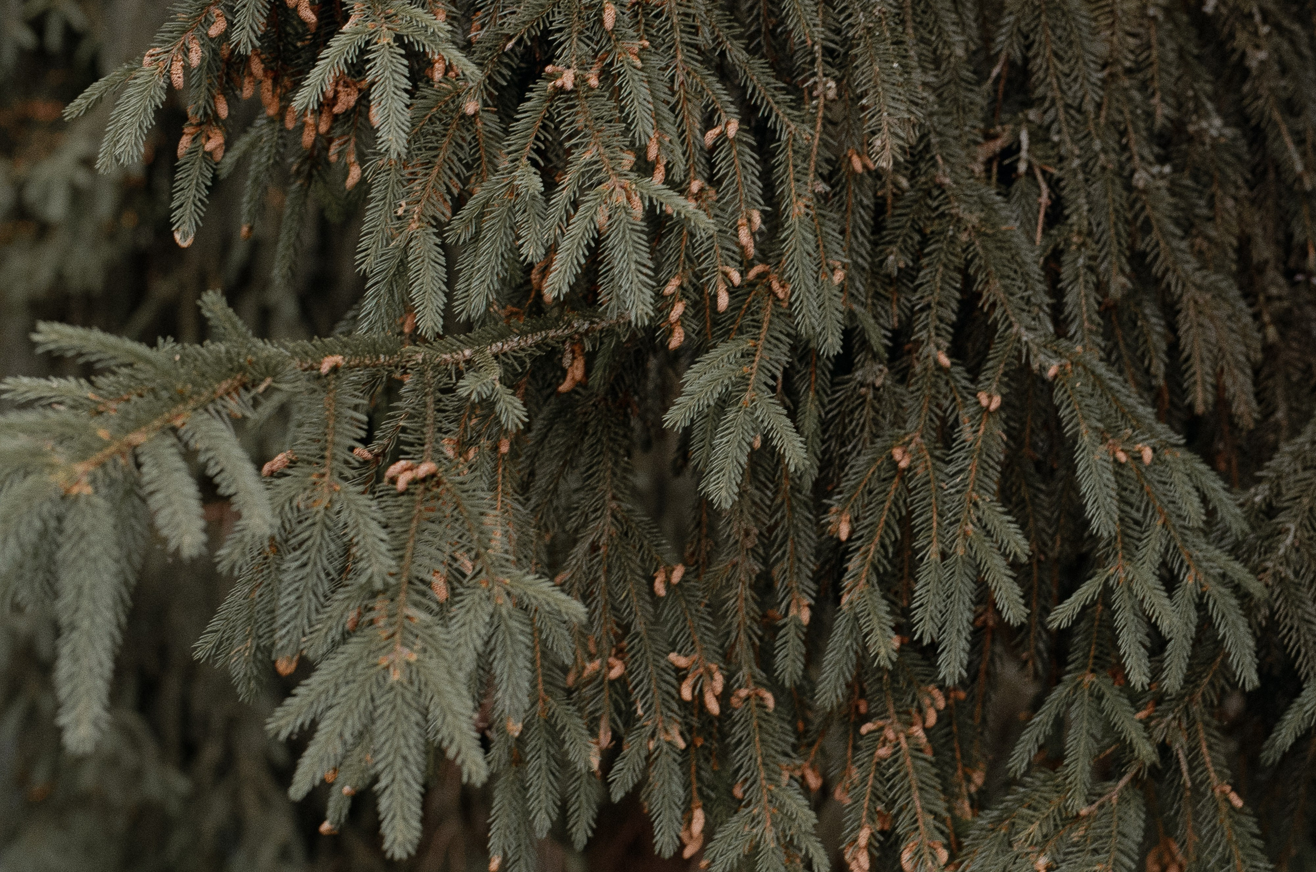 L & D. Свадебный и event-фотограф Иван Волнухин