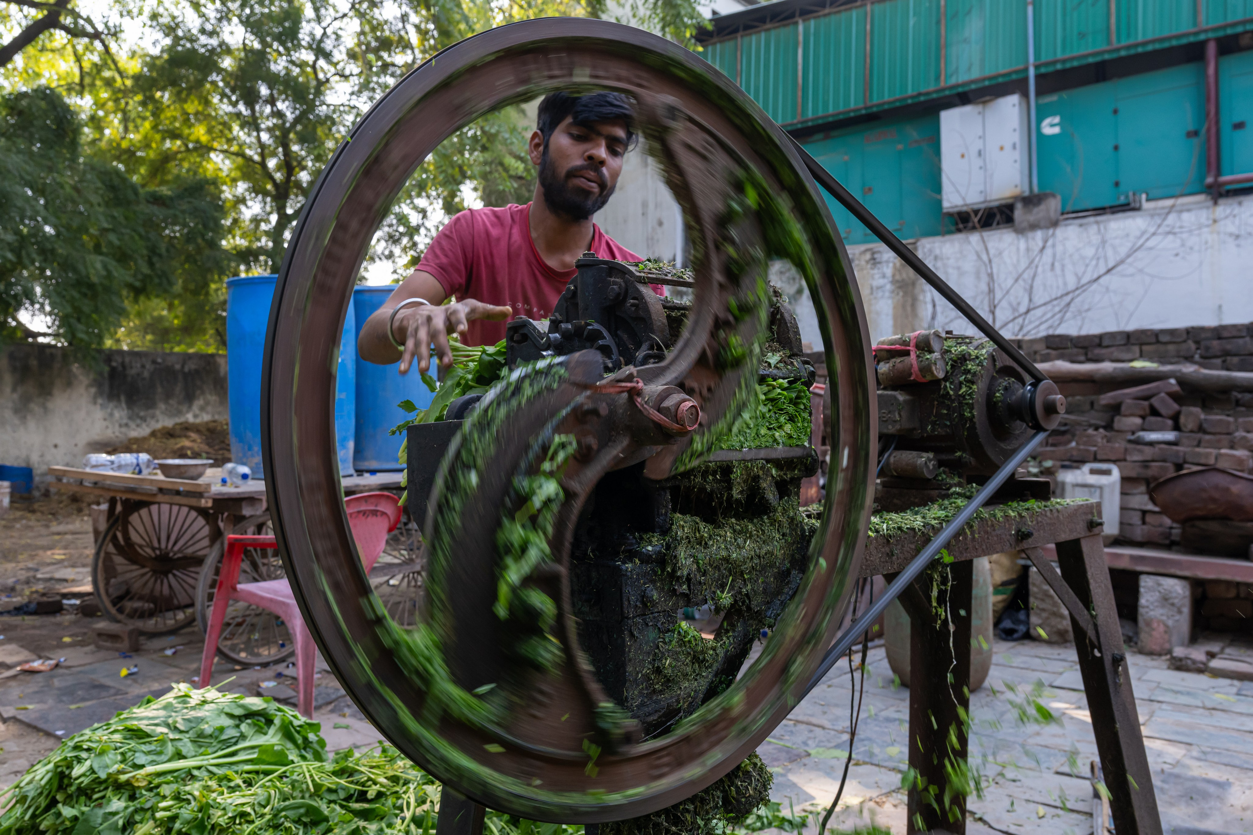 India 2024-2025. Dimitri Bakhtadze photographer