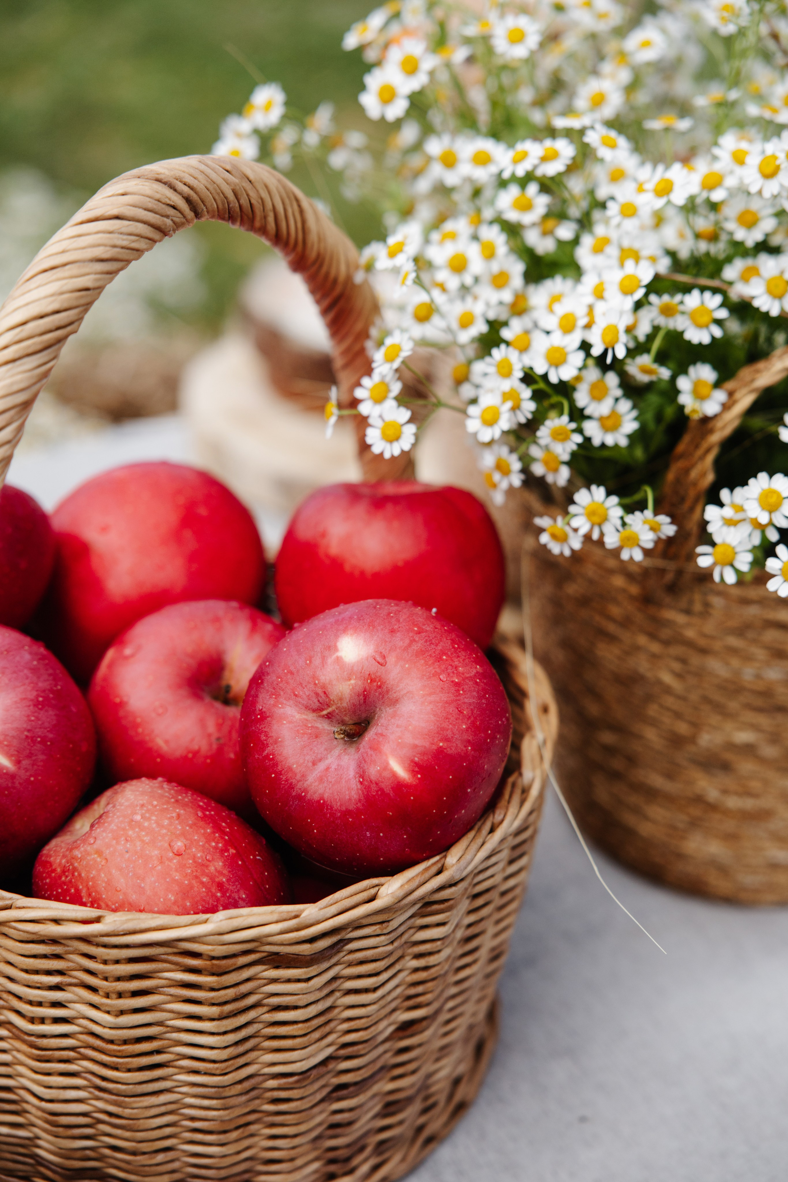 ГЕНДЕР ПАТИ. Фотограф в Красноярске