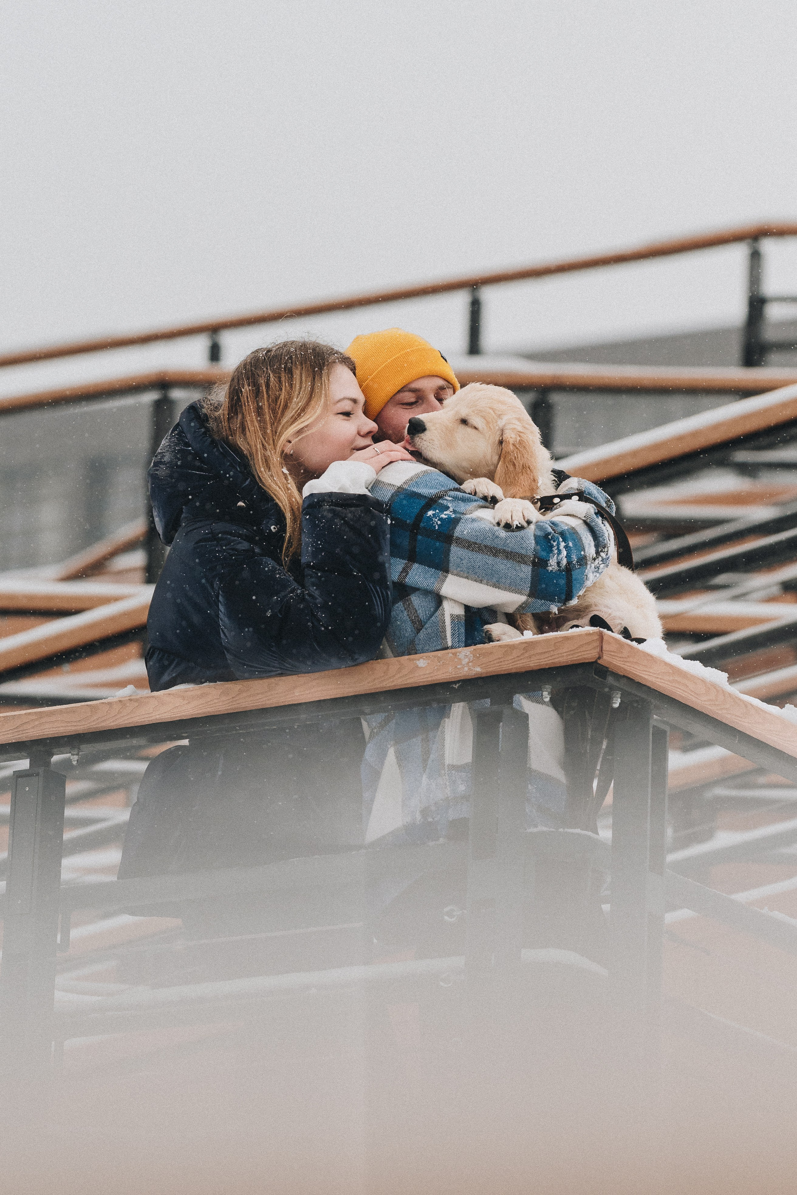 Sonia, Denis & Baggi. Natalia Finch Photography — Family, Kids & Pet Photographer in Chicago, IL