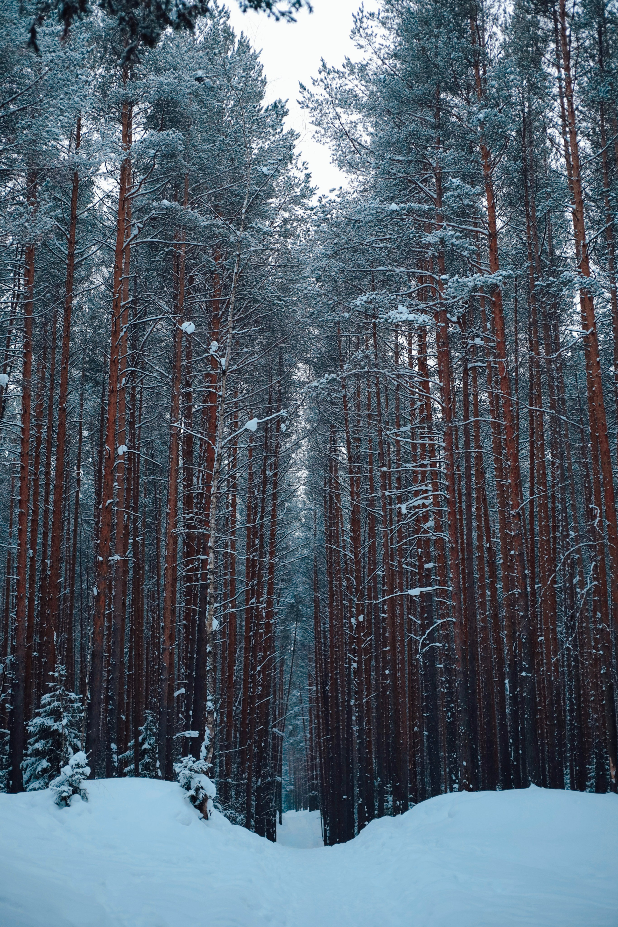 Александр. Фотограф Алина Любимова г. Пермь