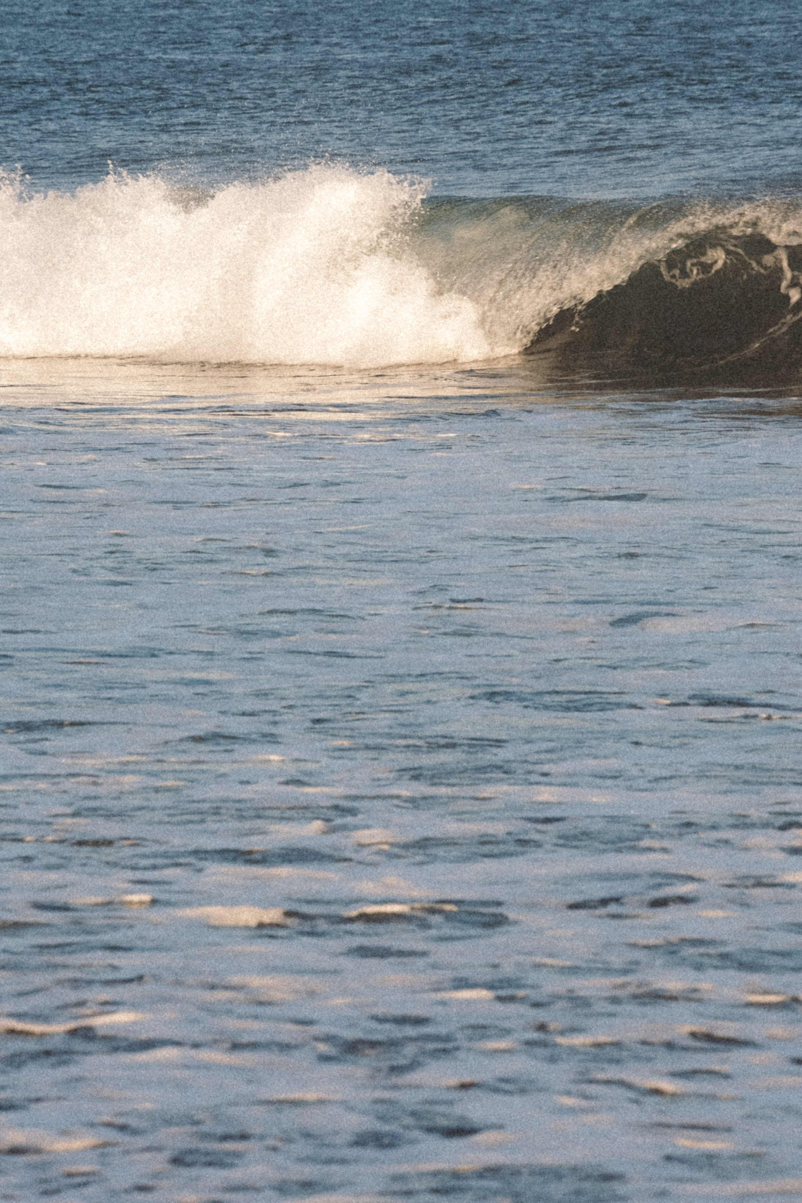 Тихий океан. Профессиональный фотограф, Санкт-Петербург — Виктория Богомолова