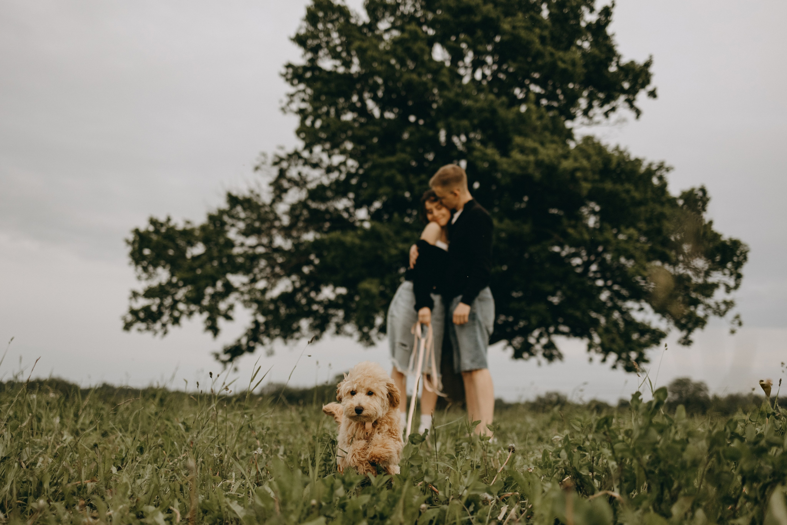 Мия и ее семья. Фотограф — Анималист | Санкт-Петербург