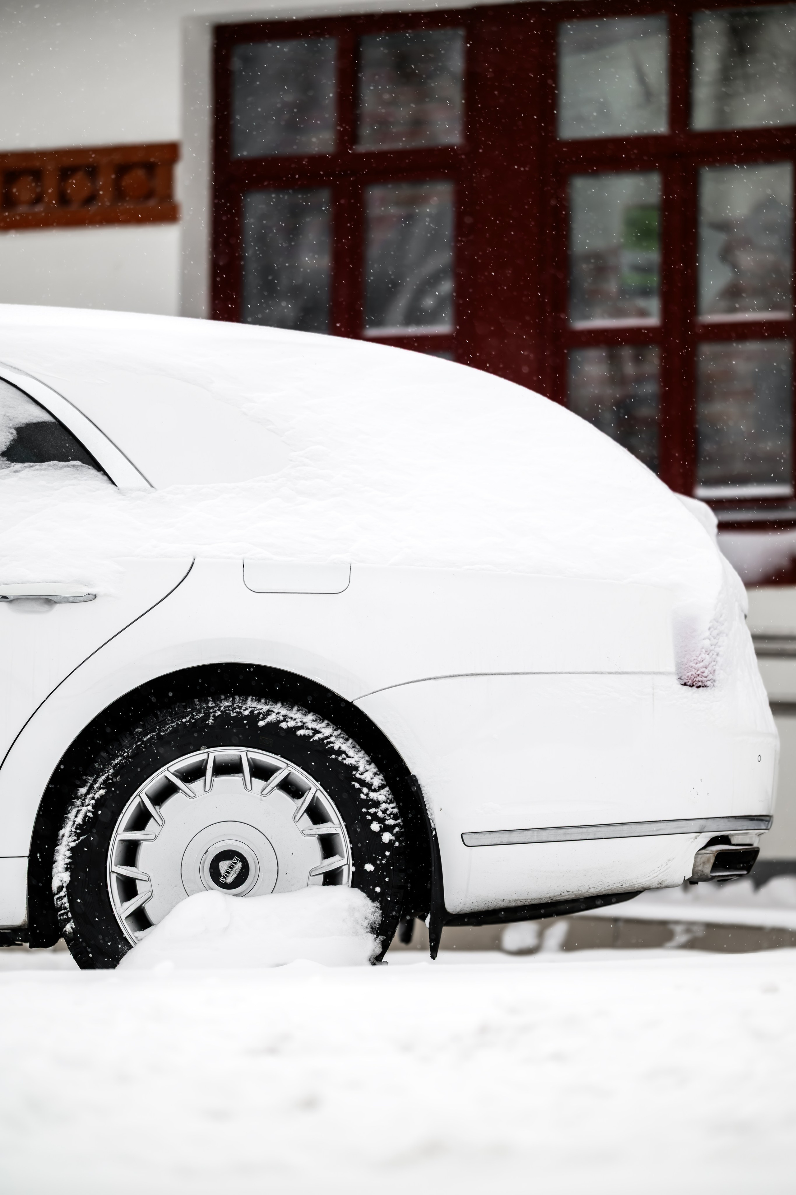 Кастом Особого Назначения 2026. Авто и мотоспорт — фотограф Антон Медведев iCoguar