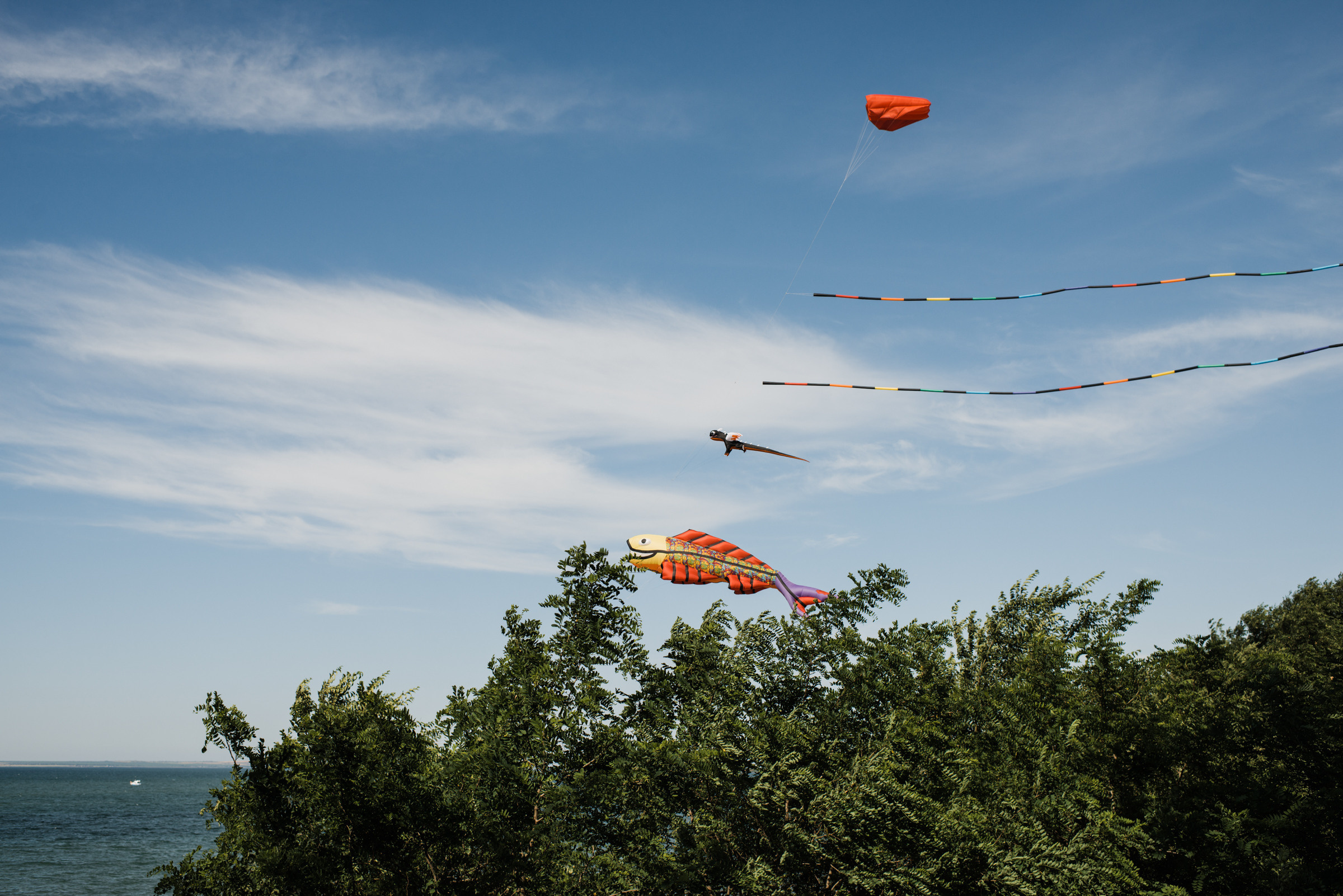 Тамань / Открытие пляжа. Фотограф Алутера Ирина