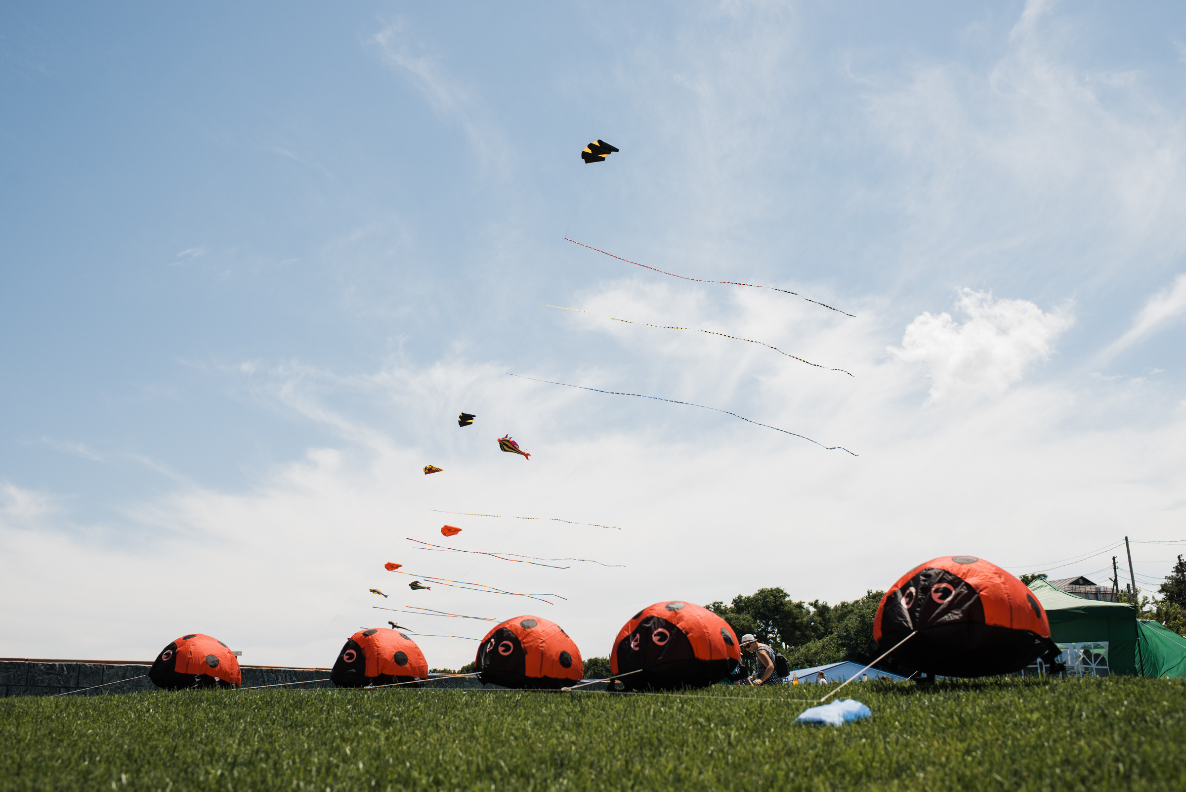 Тамань / Открытие пляжа. Фотограф Алутера Ирина
