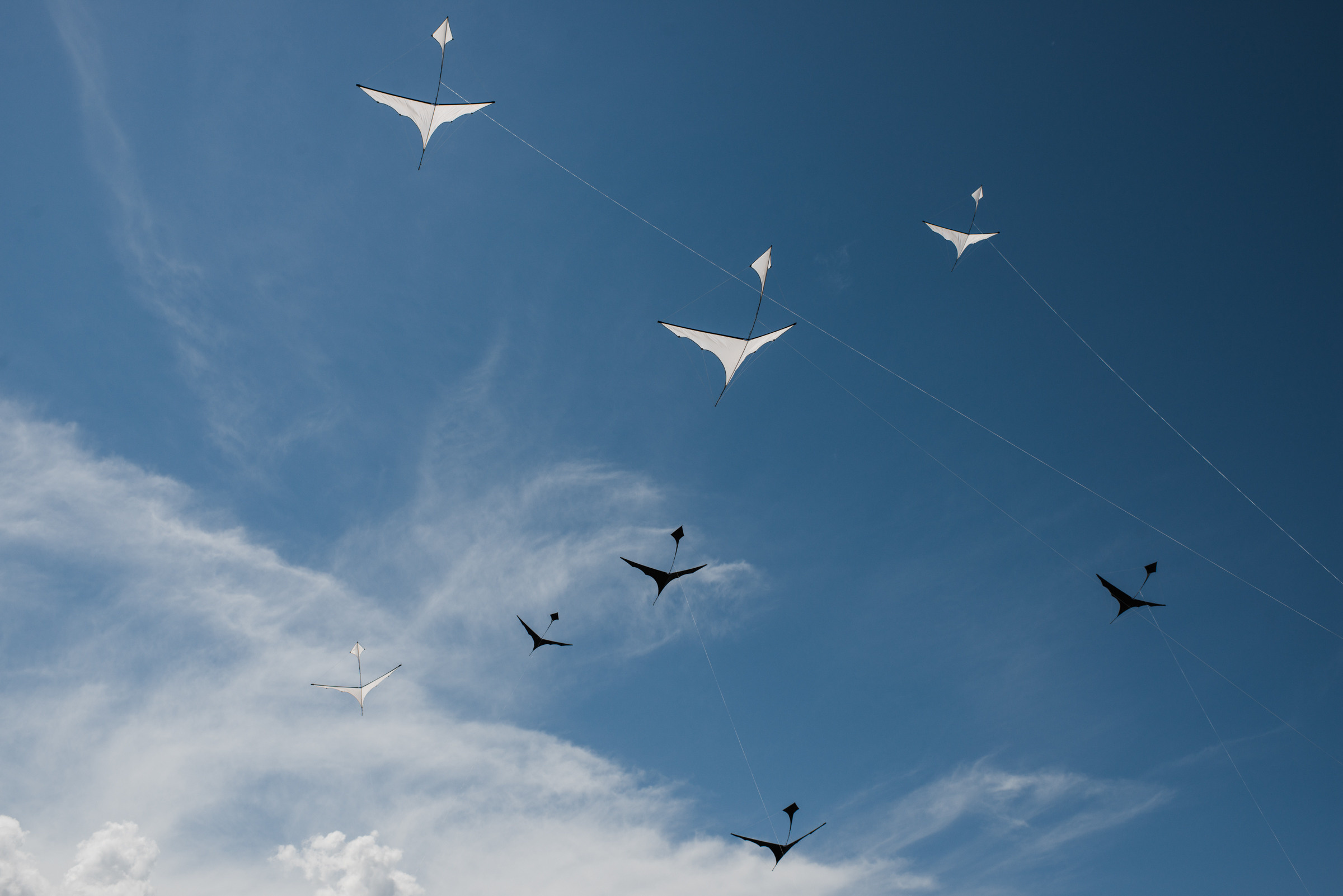 Тамань / Открытие пляжа. Фотограф Алутера Ирина