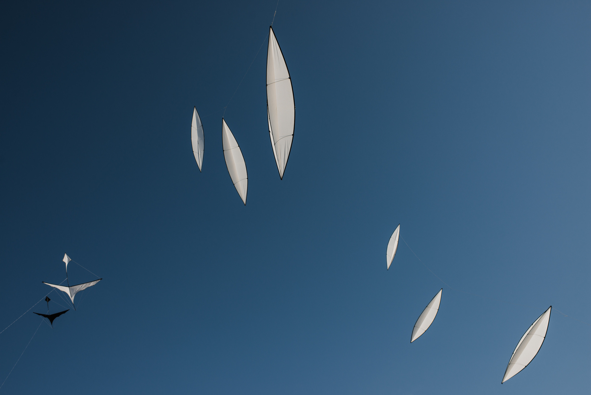 Тамань / Открытие пляжа. Фотограф Алутера Ирина