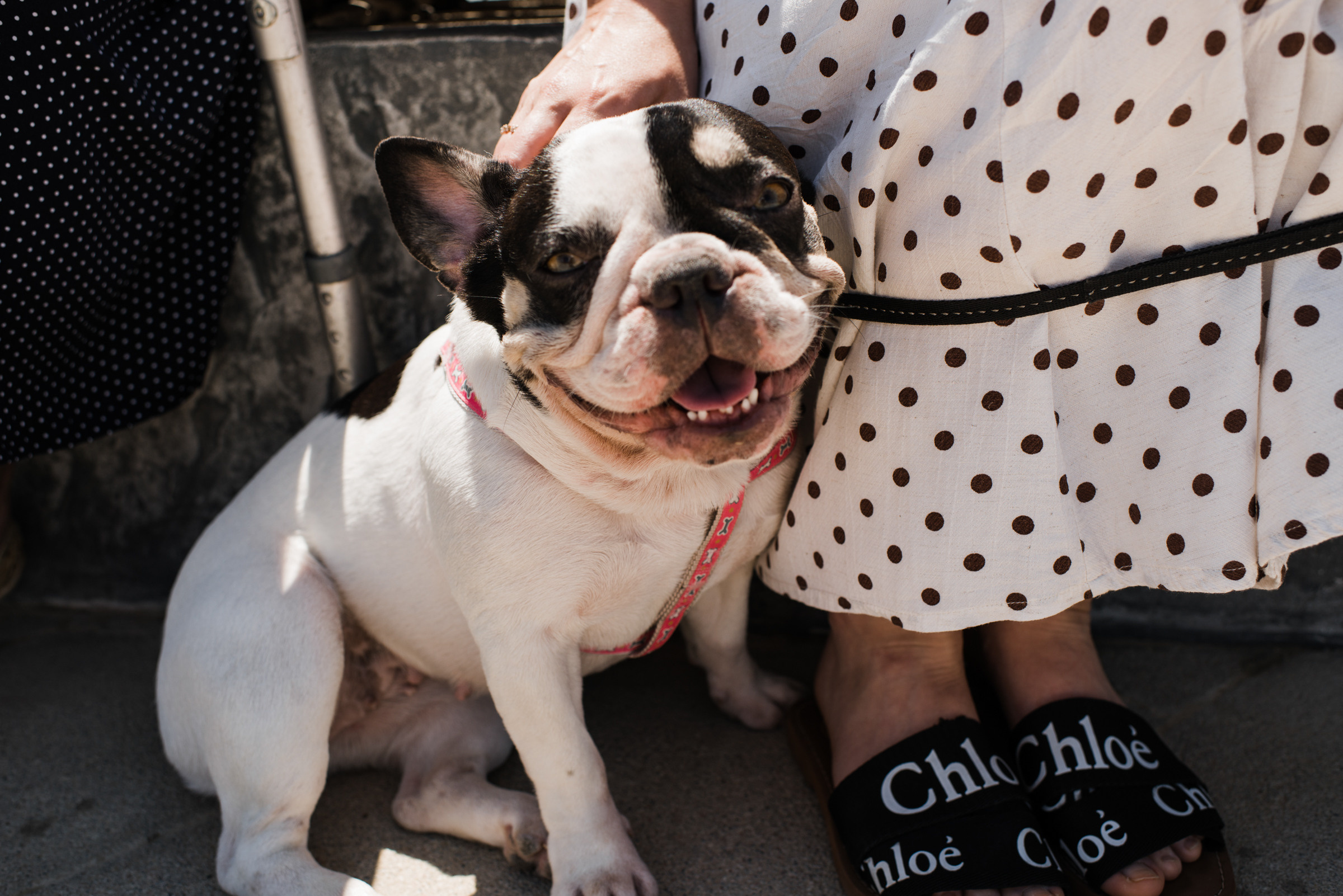 Тамань / Открытие пляжа. Фотограф Алутера Ирина
