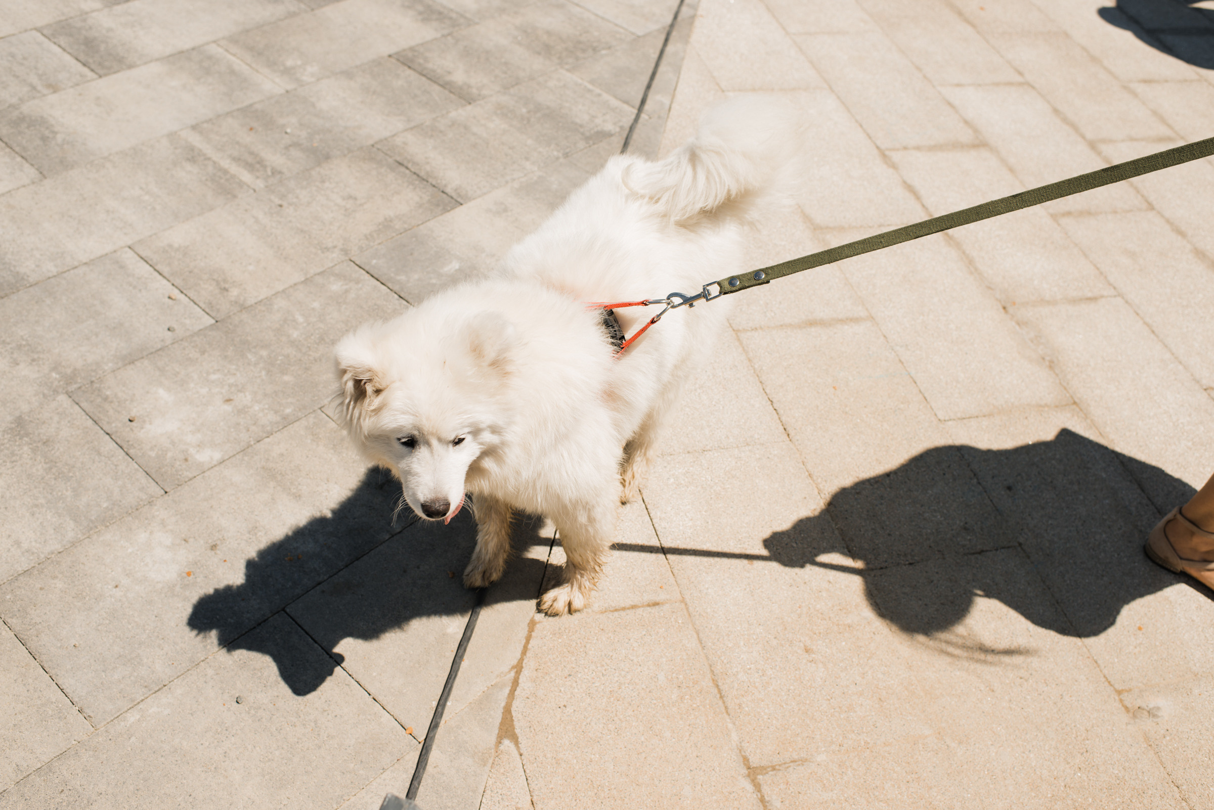 Тамань / Открытие пляжа. Фотограф Алутера Ирина