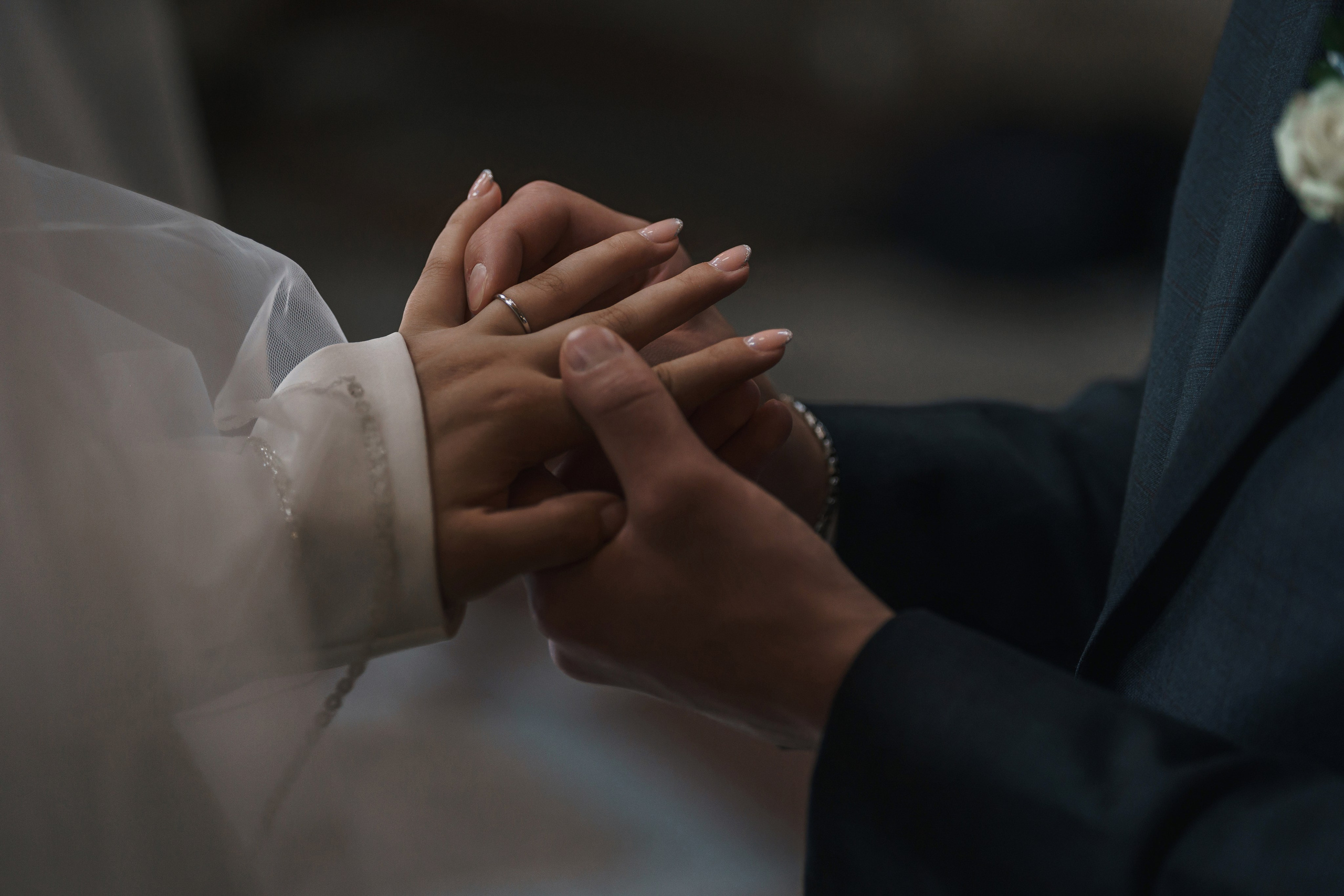 Стефани и Дмитрий. Алексей Рудович Видеооператор в Москве