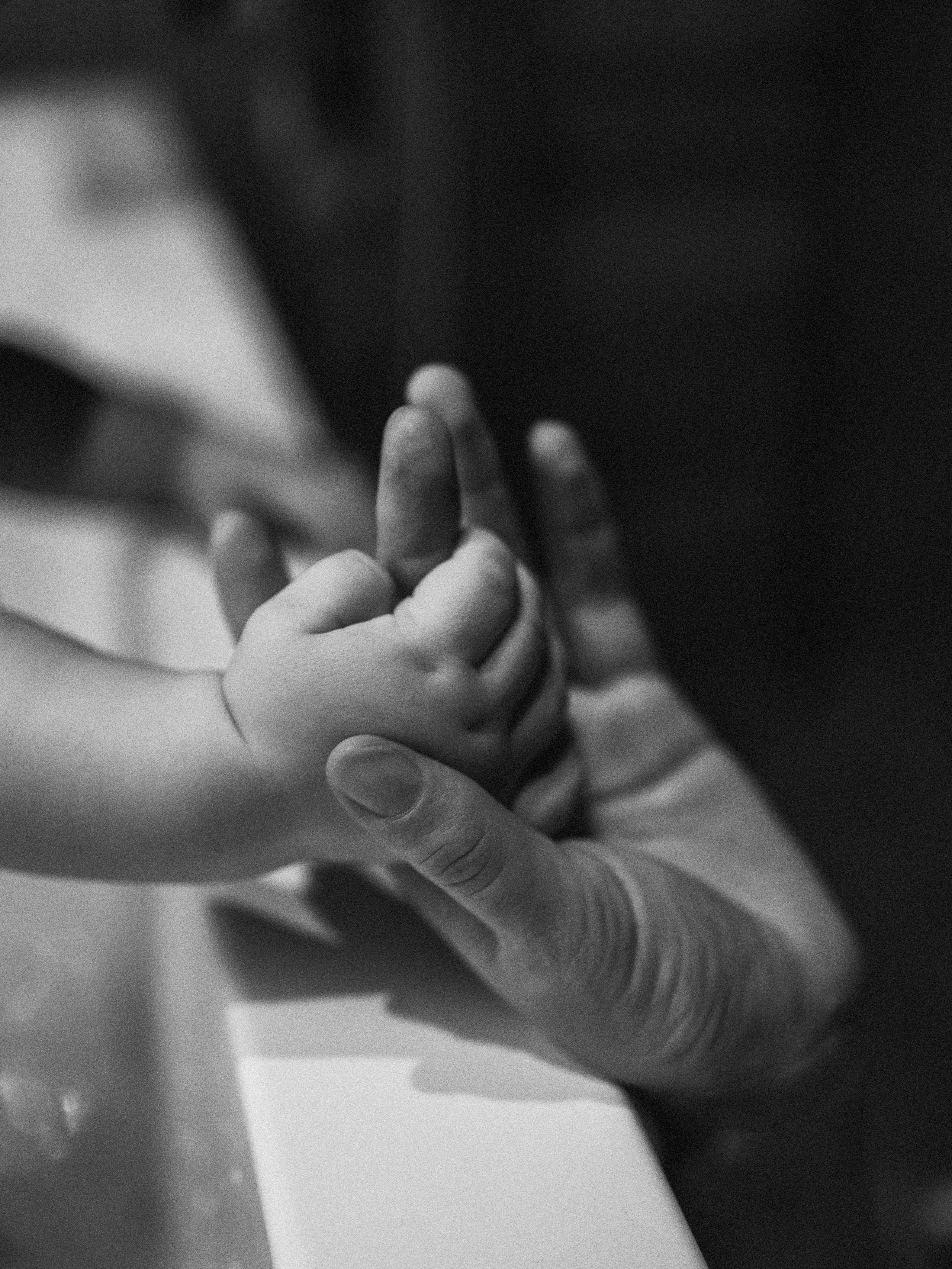 proektvozdukh.ru П Р О Е К Т VOZDUKH