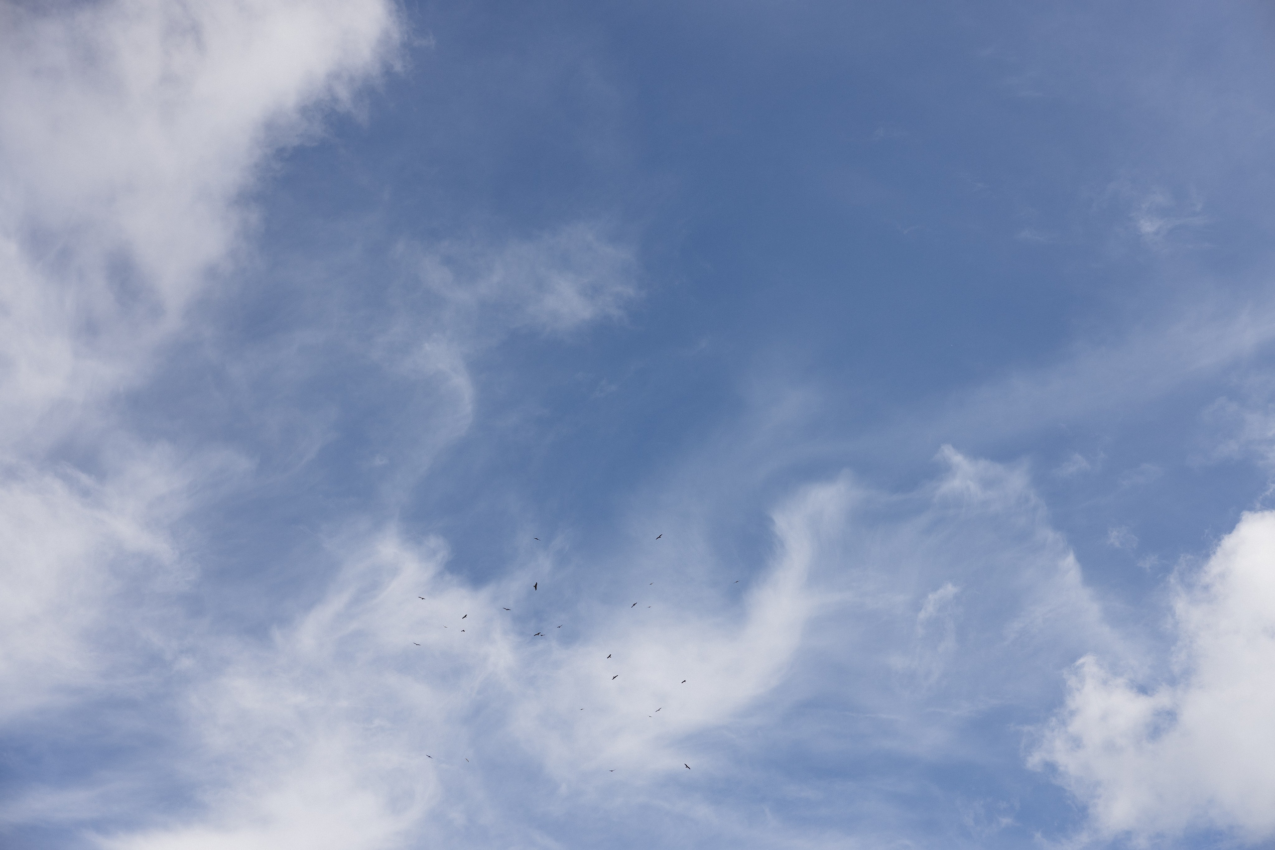 М&Я * Домбай. Миленина Юлия Свадебный и семейный фотограф в Краснодаре