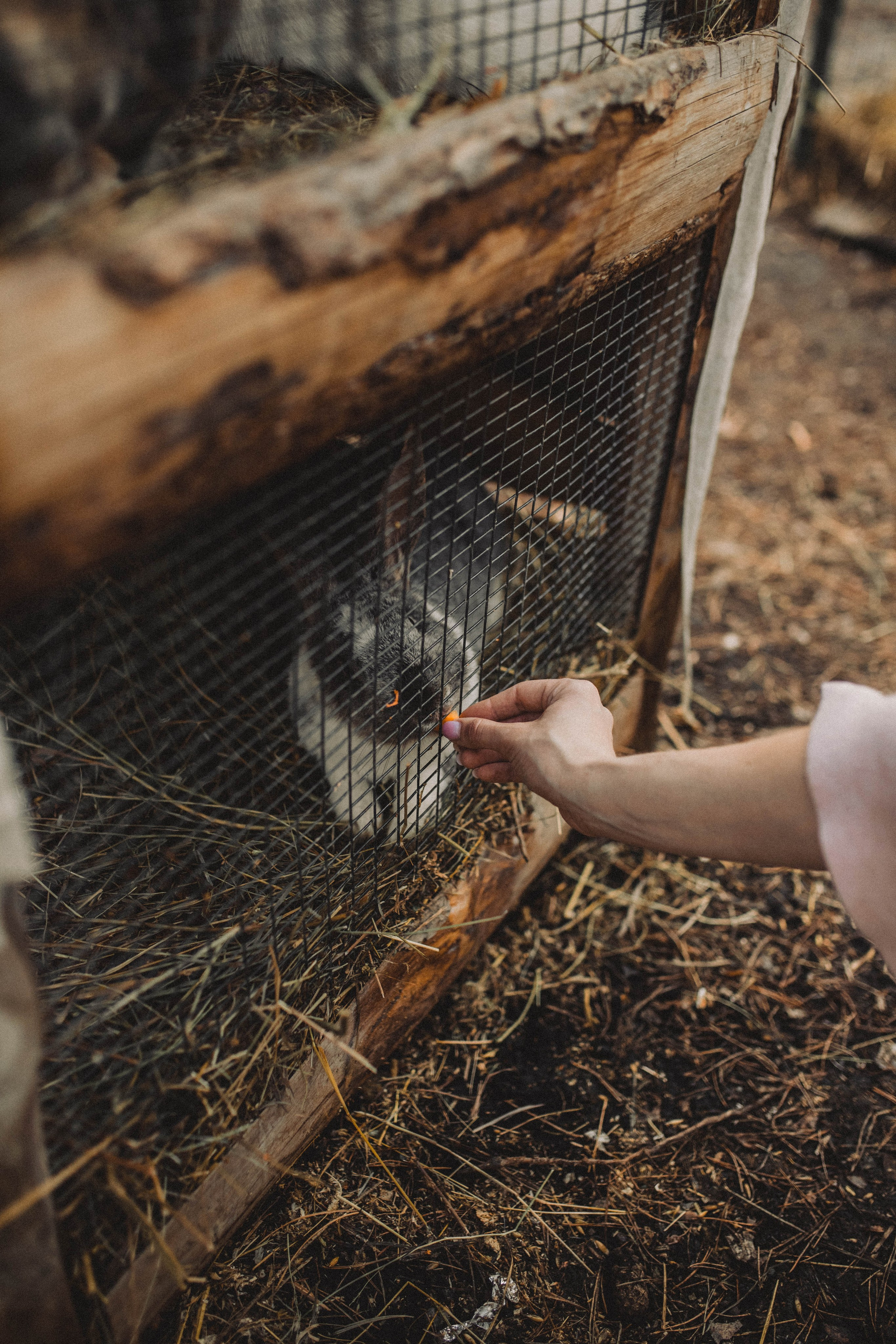 Предсвадебное Love Story | Максим & Анастасия. Свадебный фотограф Новосибирск