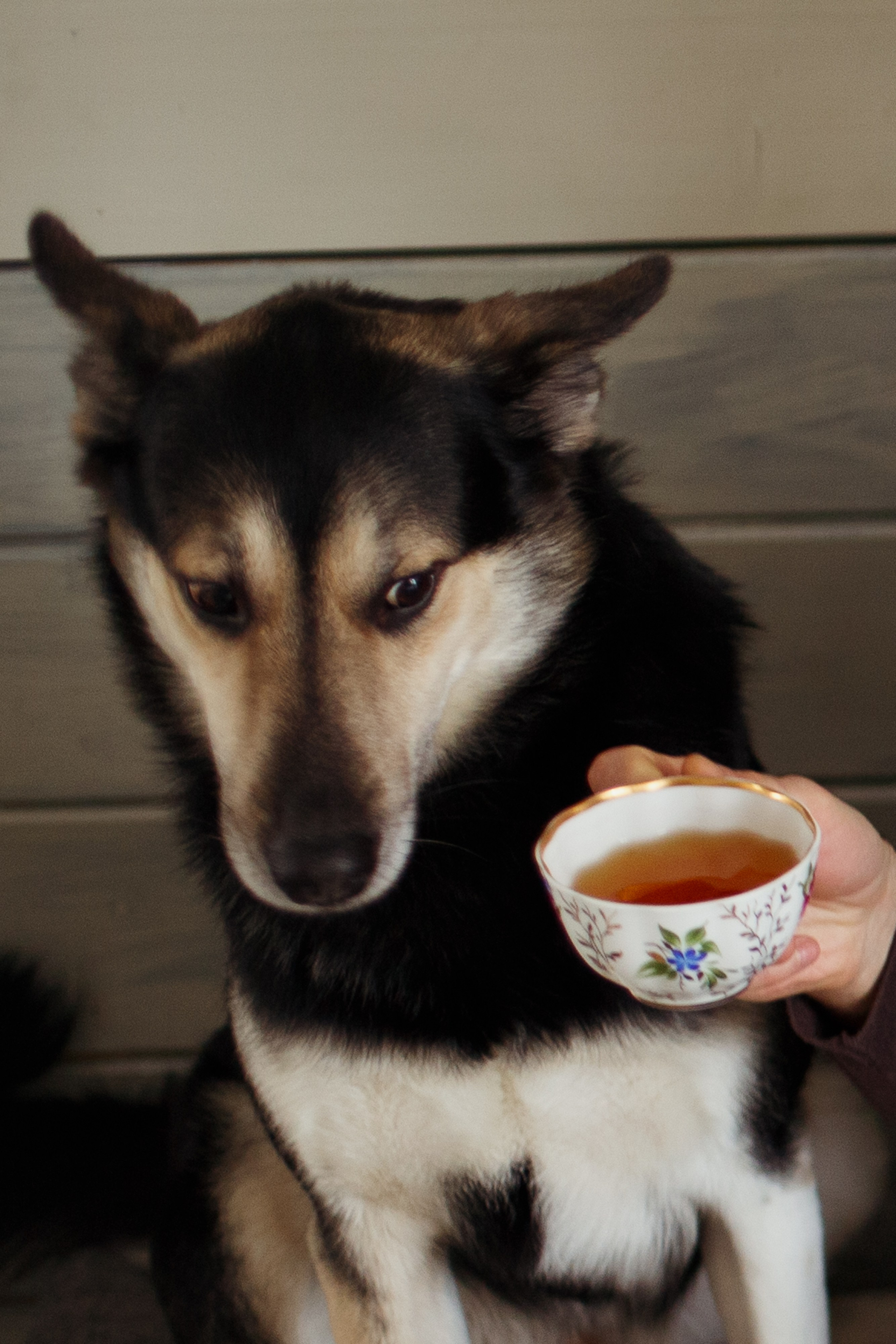 Аня и Кирилл. Портретный фотограф СПб — Ира Волкова