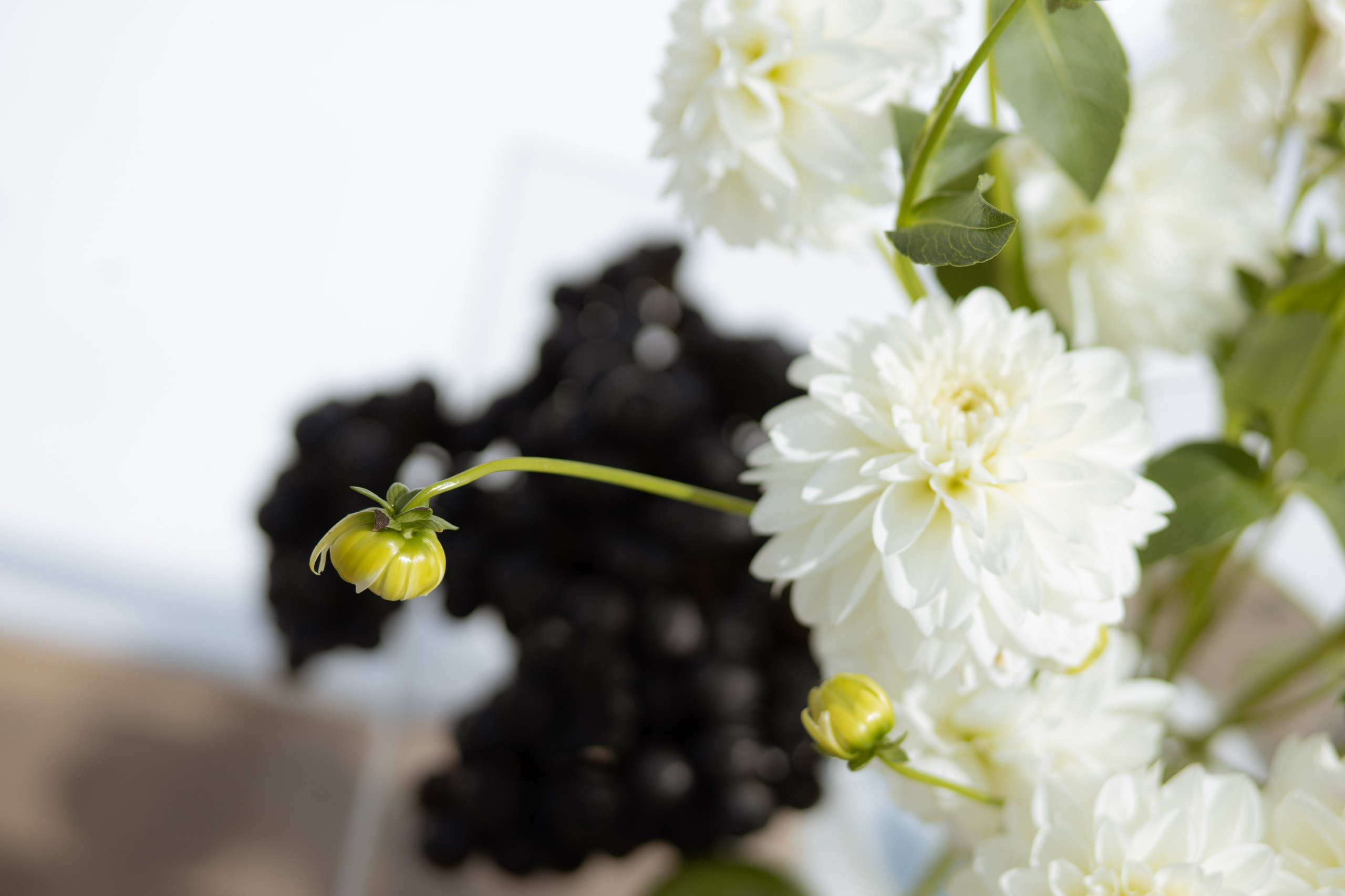 Алина & Андрей. Оформление свадеб, декор свадеб Вера Маркова, Москва