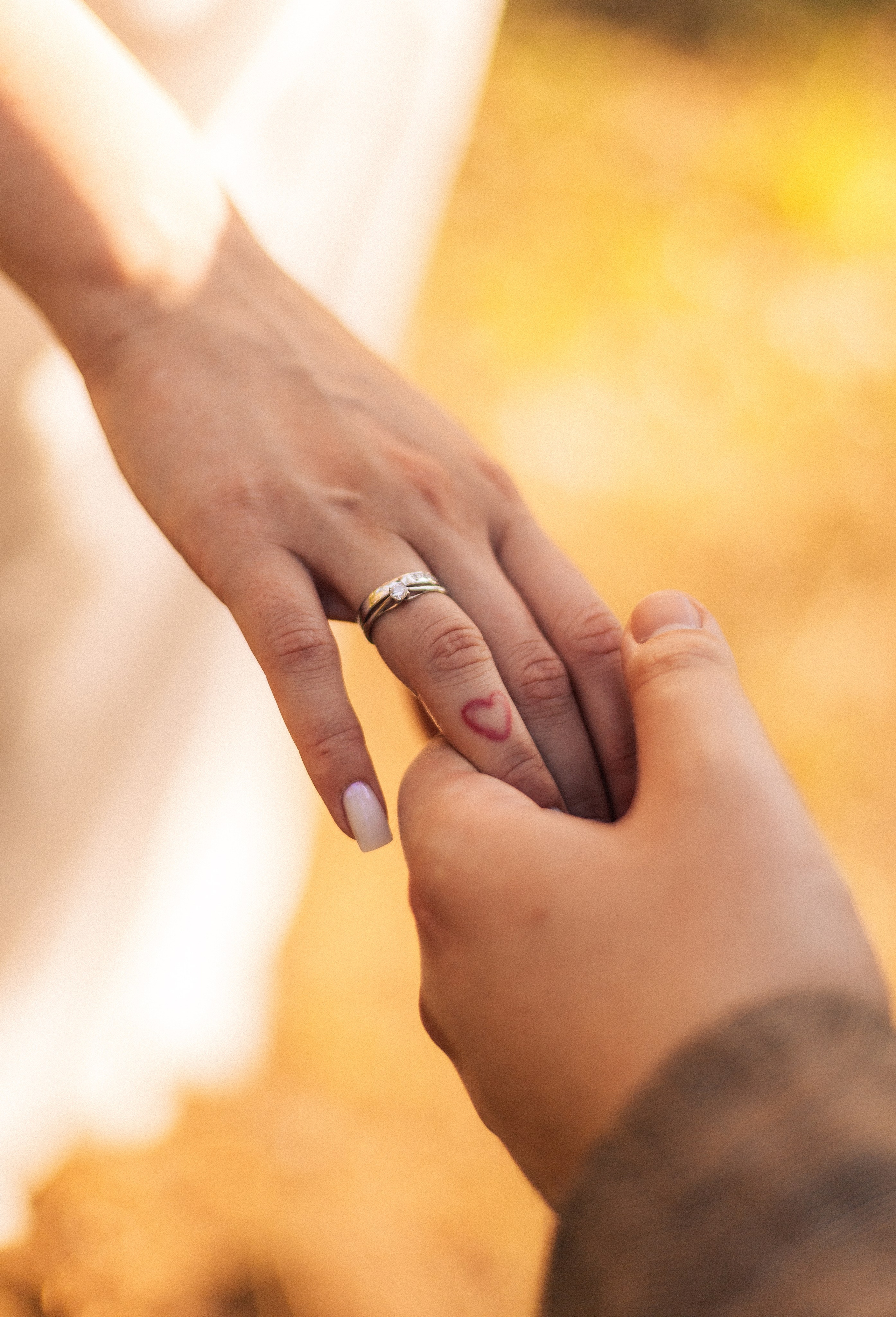 Корги свадьба в сосновом лесу. Фотограф Москва Жуковский Раменское