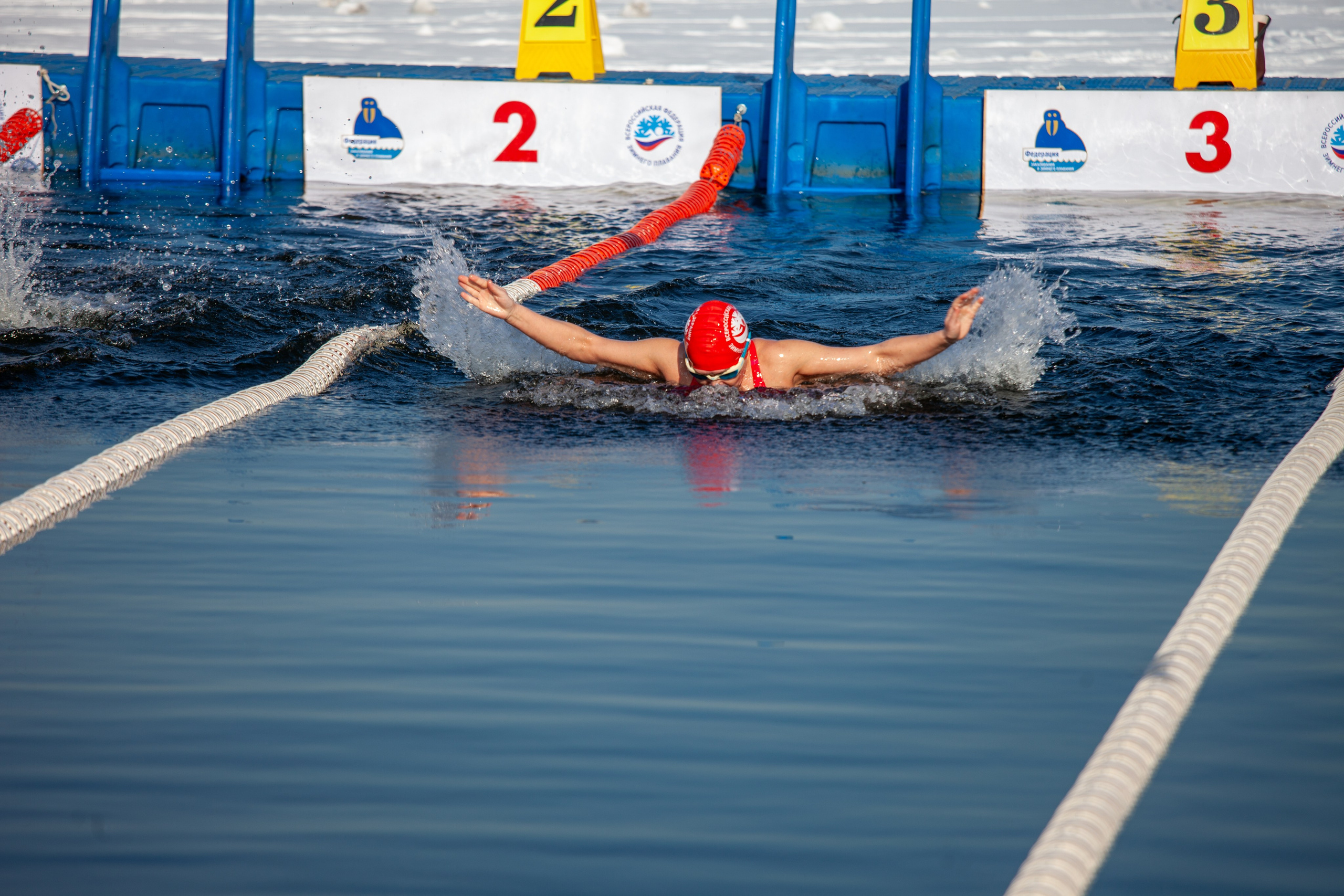 Кубок Дружбы- Москва. Репортажный, семейный, свадебный, портретный фотограф