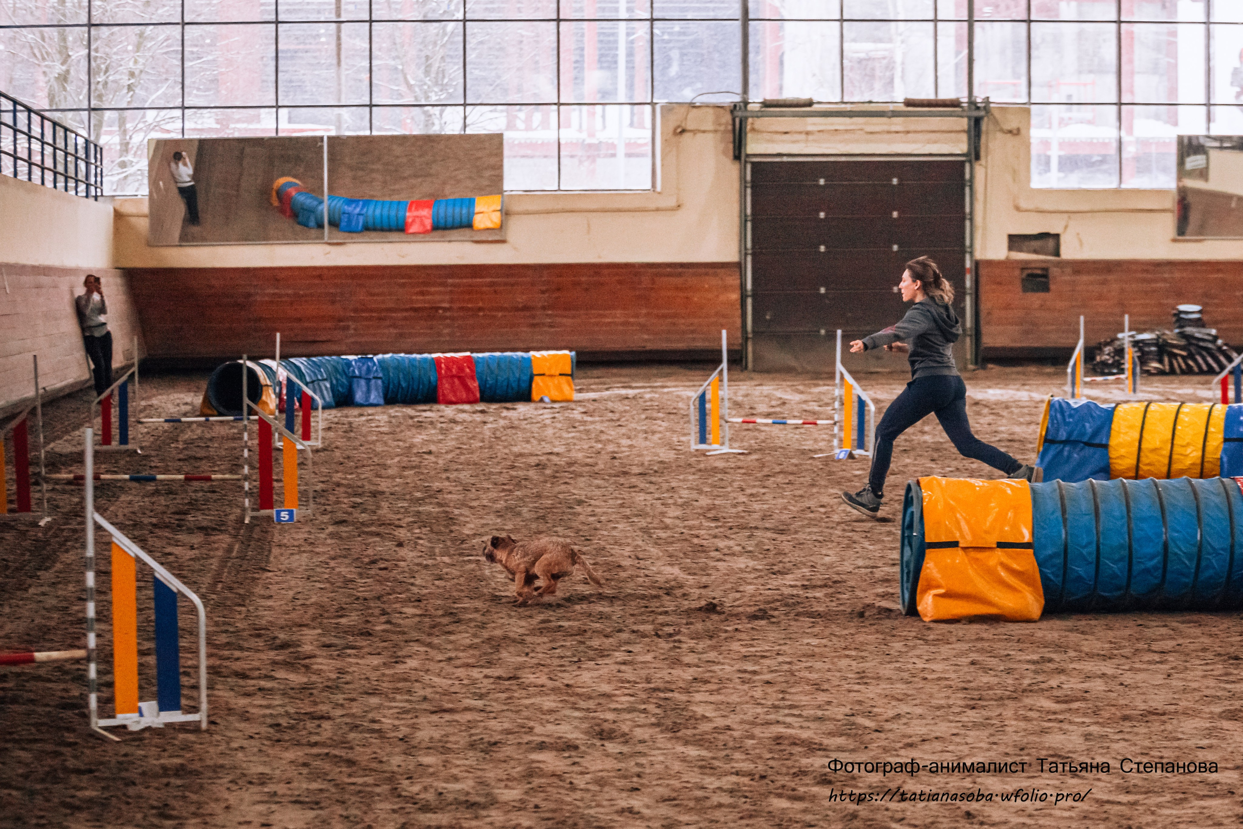 Соревнования по Аджилити 25.02.2024. Фотограф-анималист Татьяна Степанова