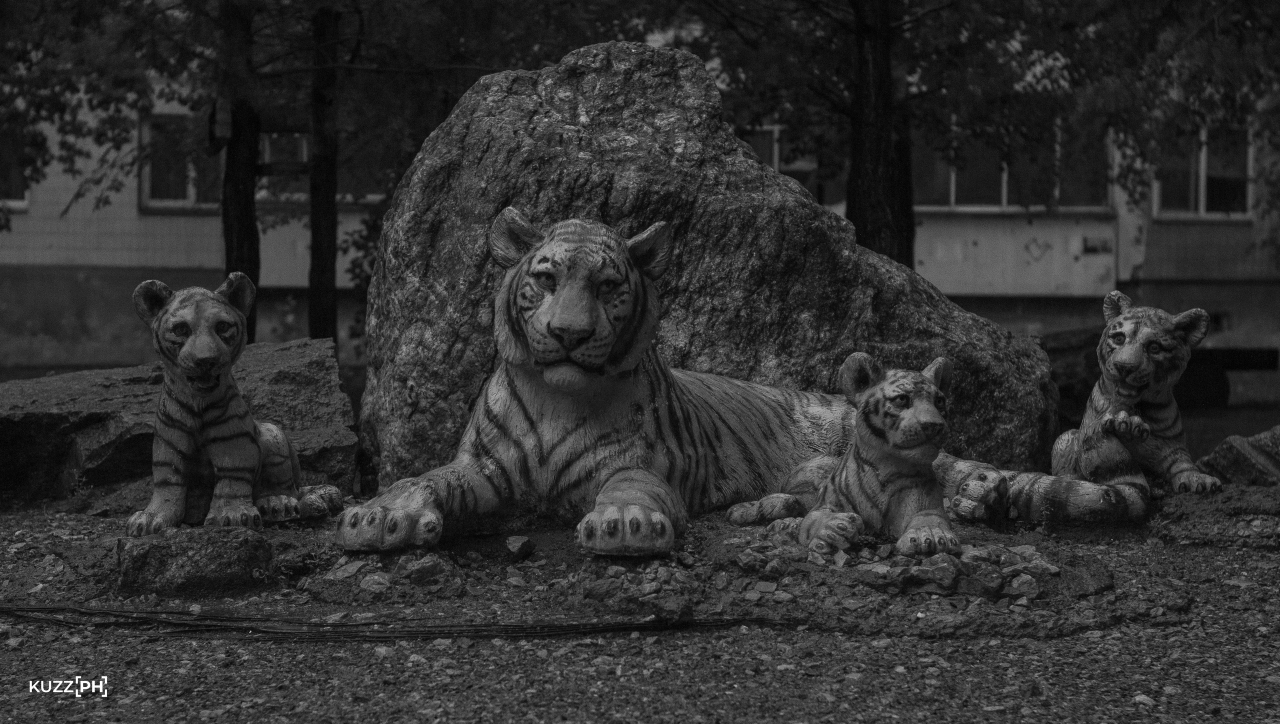 11.08.2024 | Сосновоборск. Kuznetsov | Фотограф в Красноярске