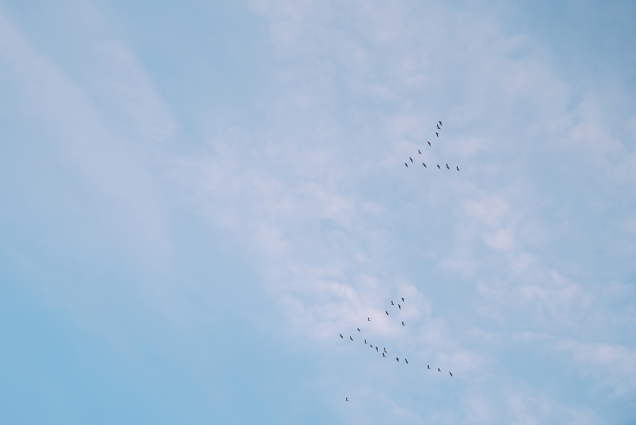 Регина и Егор