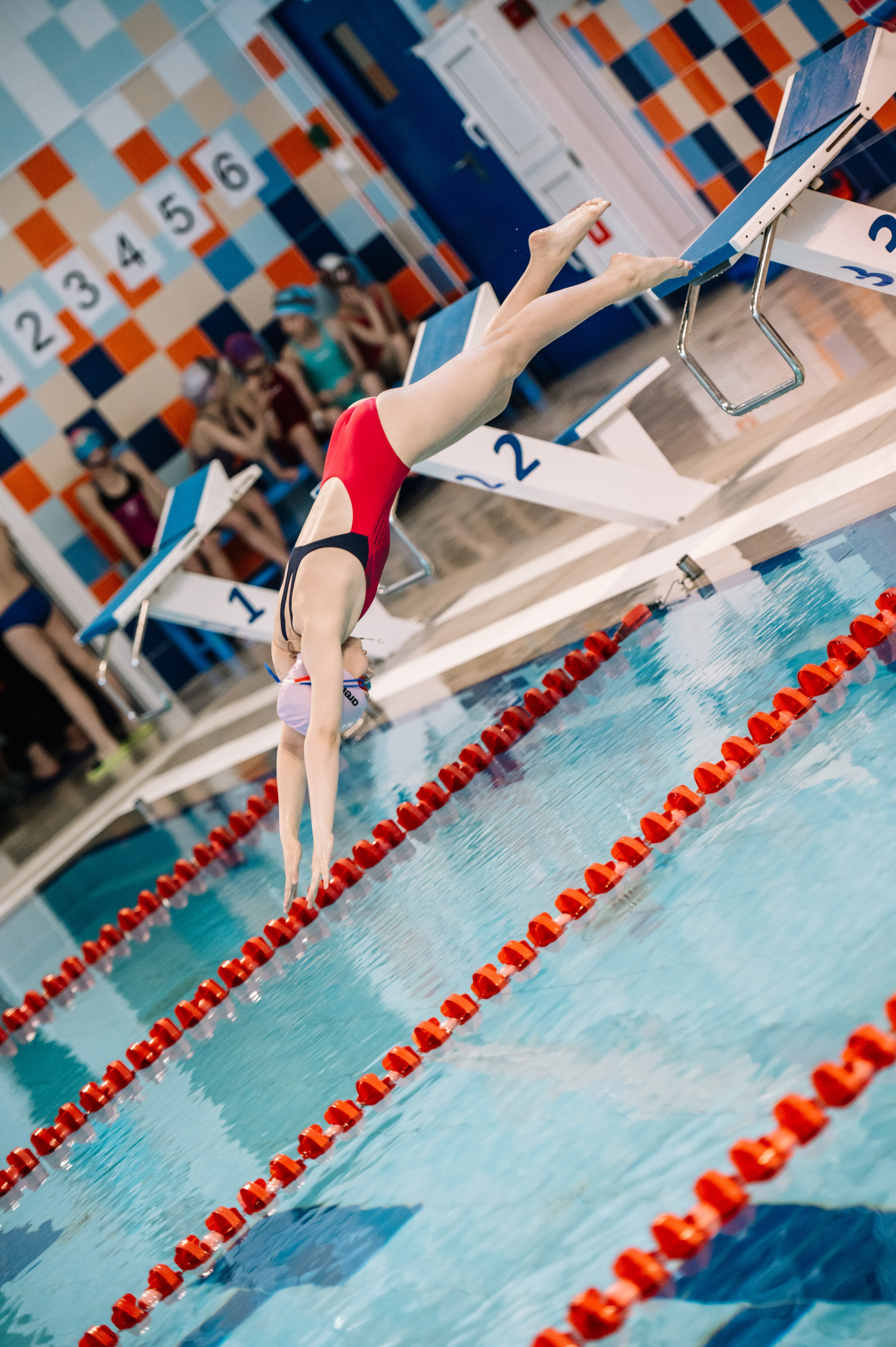 Финал кубка плавания ШП Дельфин, май 2024. Спортивный фотограф в Туле и Тульской области. Файсханова Фото Спорт