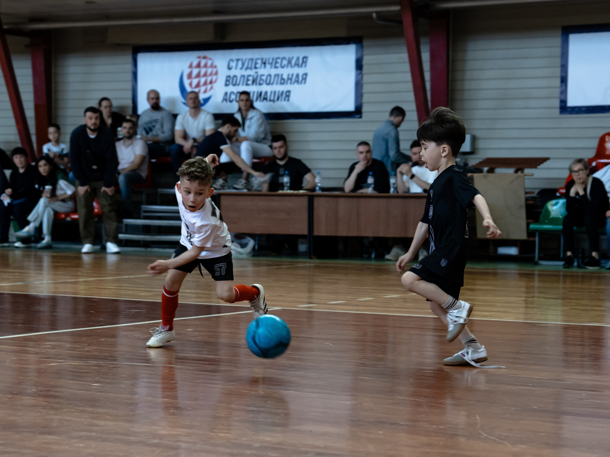 Тики-Така Противостояние 2025. Крамер Юлиана детский и семейный фотограф