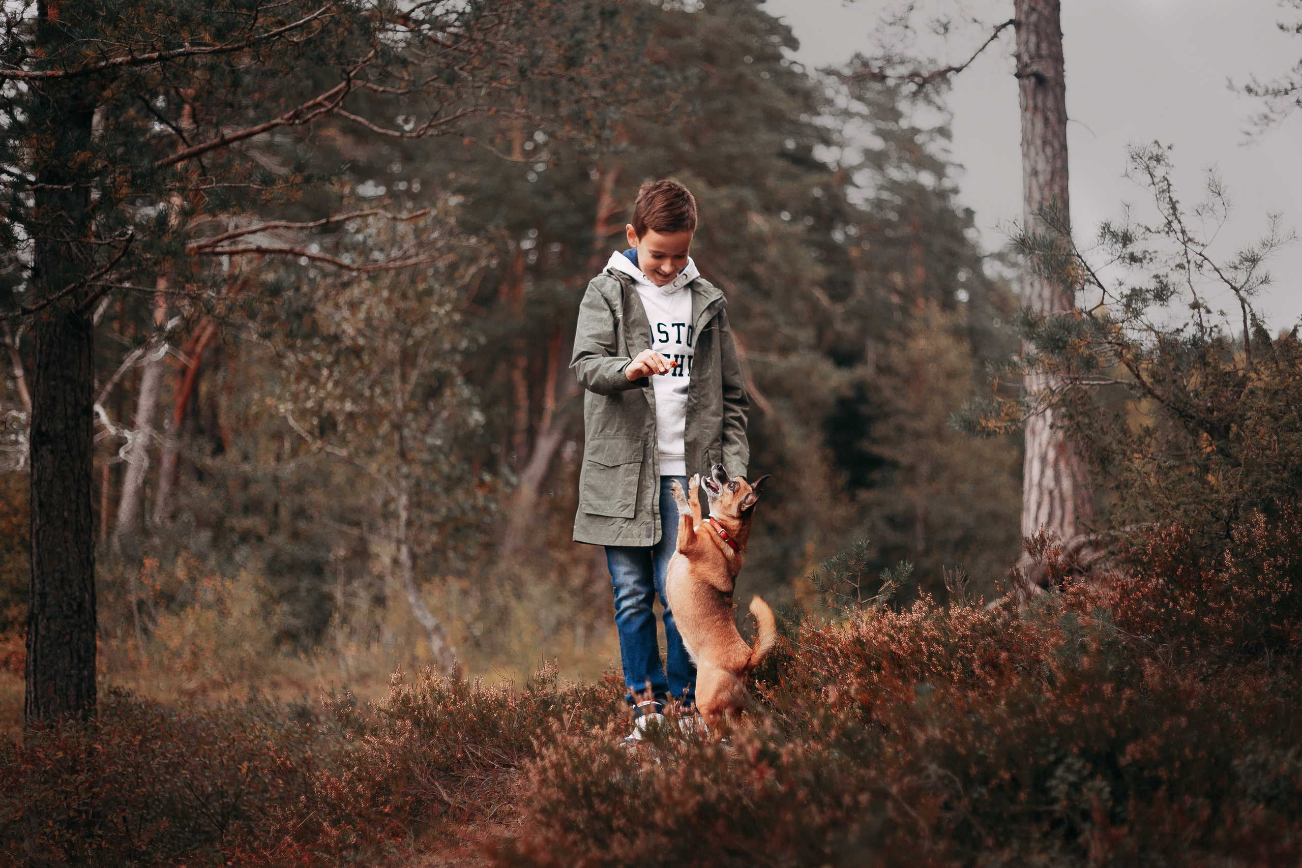 Осенний лес в Сосновом Бору. Фотограф-анималист Наталия Чистюхина в г. Сосновый Бор и ЛО