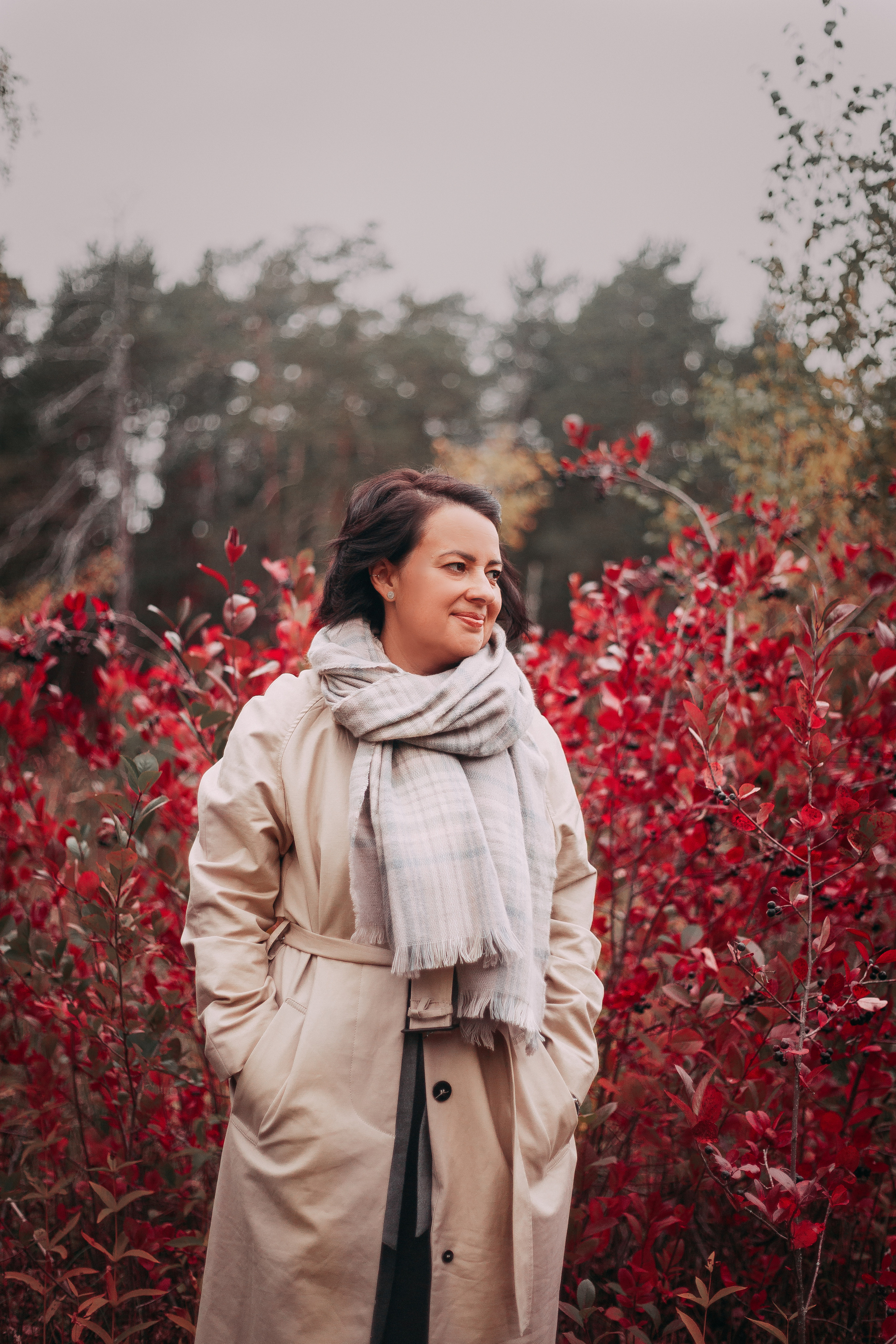 Осенний лес в Сосновом Бору. Фотограф-анималист Наталия Чистюхина в г. Сосновый Бор и ЛО