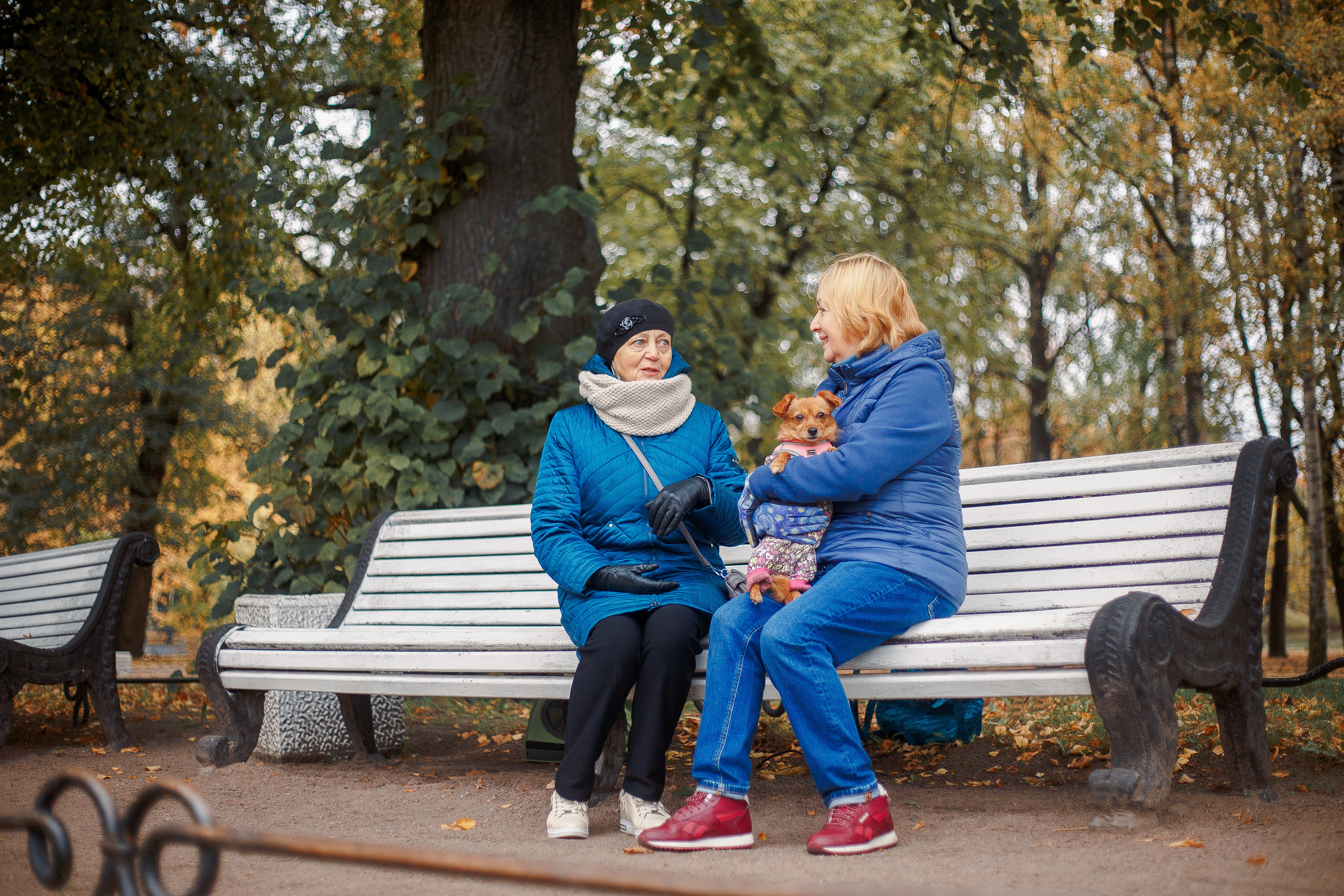 Таврический сад осенью. Фотограф-анималист Наталия Чистюхина в г. Сосновый Бор и ЛО