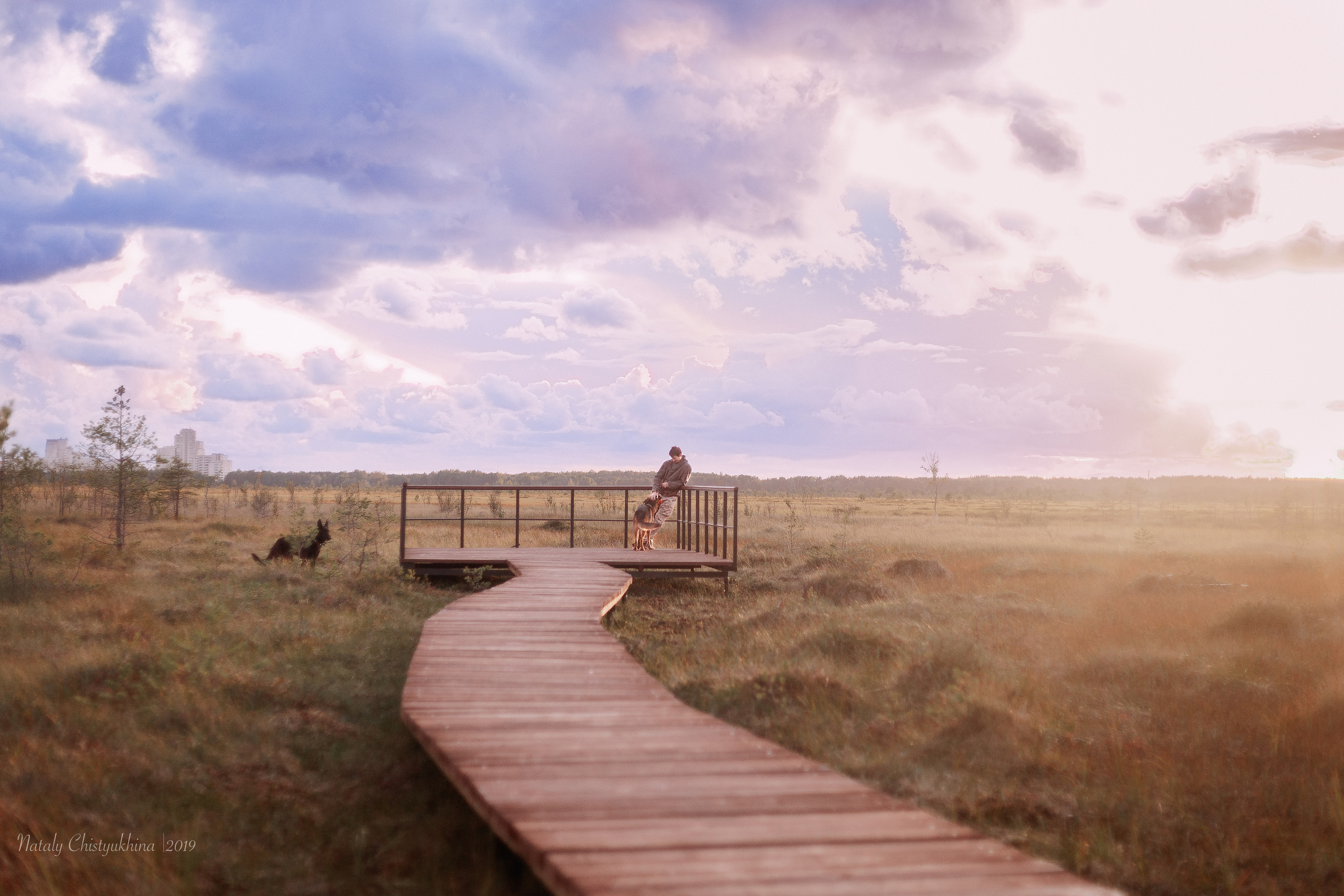 Эко-тропа Сестрорецкое болото. Фотограф-анималист Наталия Чистюхина в г. Сосновый Бор и ЛО