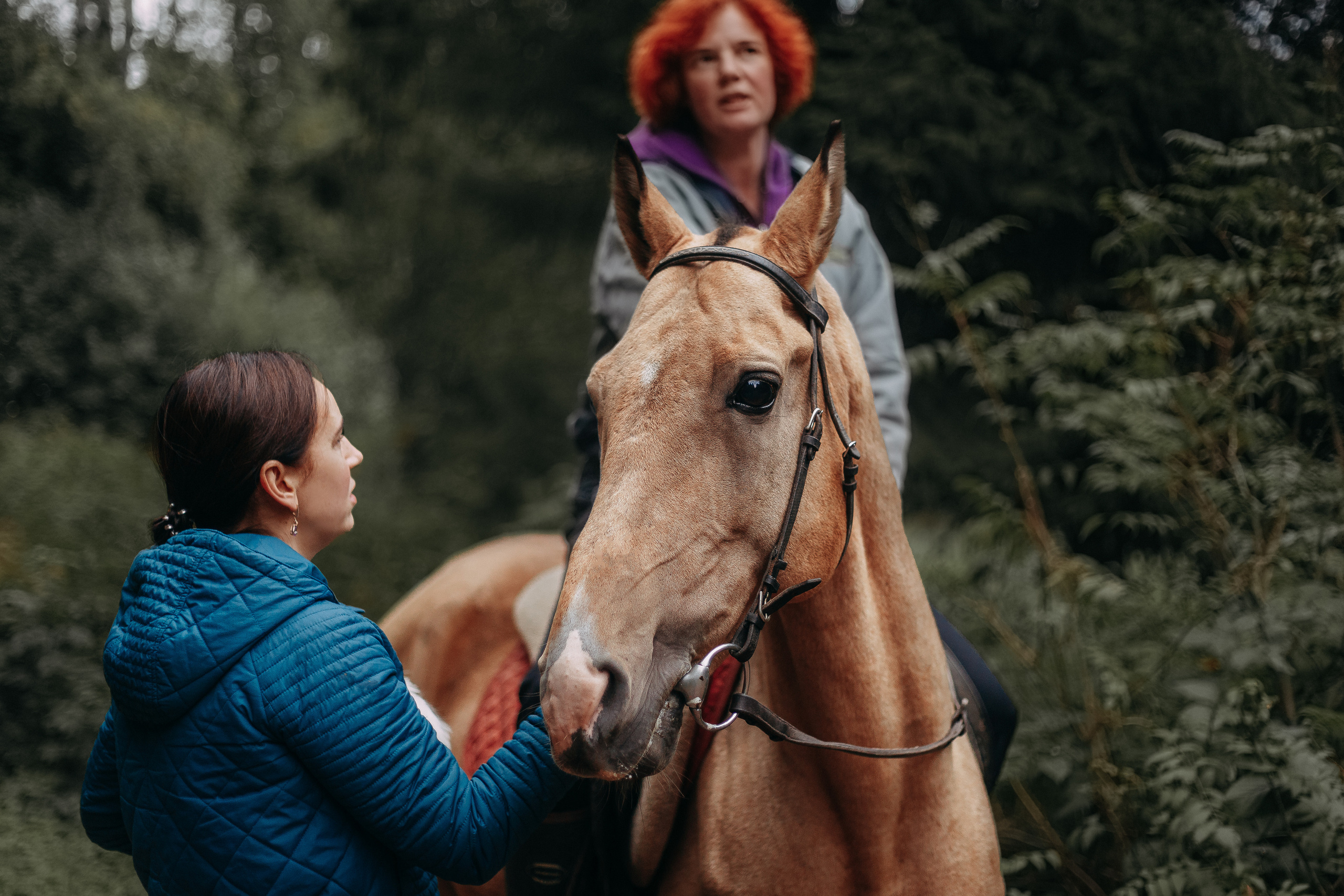 Шуваловский парк. Фотограф-анималист Наталия Чистюхина в г. Сосновый Бор и ЛО