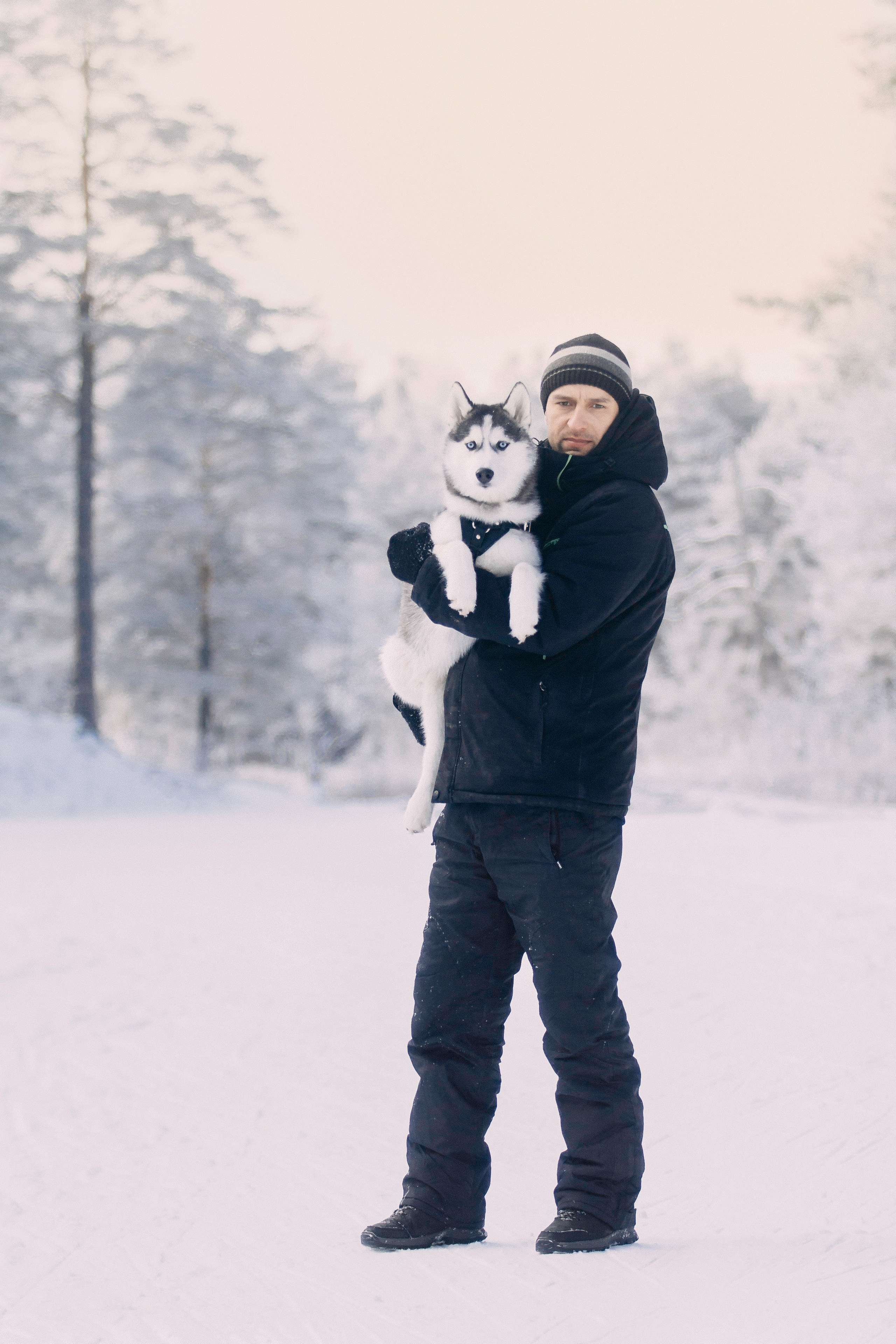 Щенок хаски Плуто. Фотограф-анималист Наталия Чистюхина в г. Сосновый Бор и ЛО