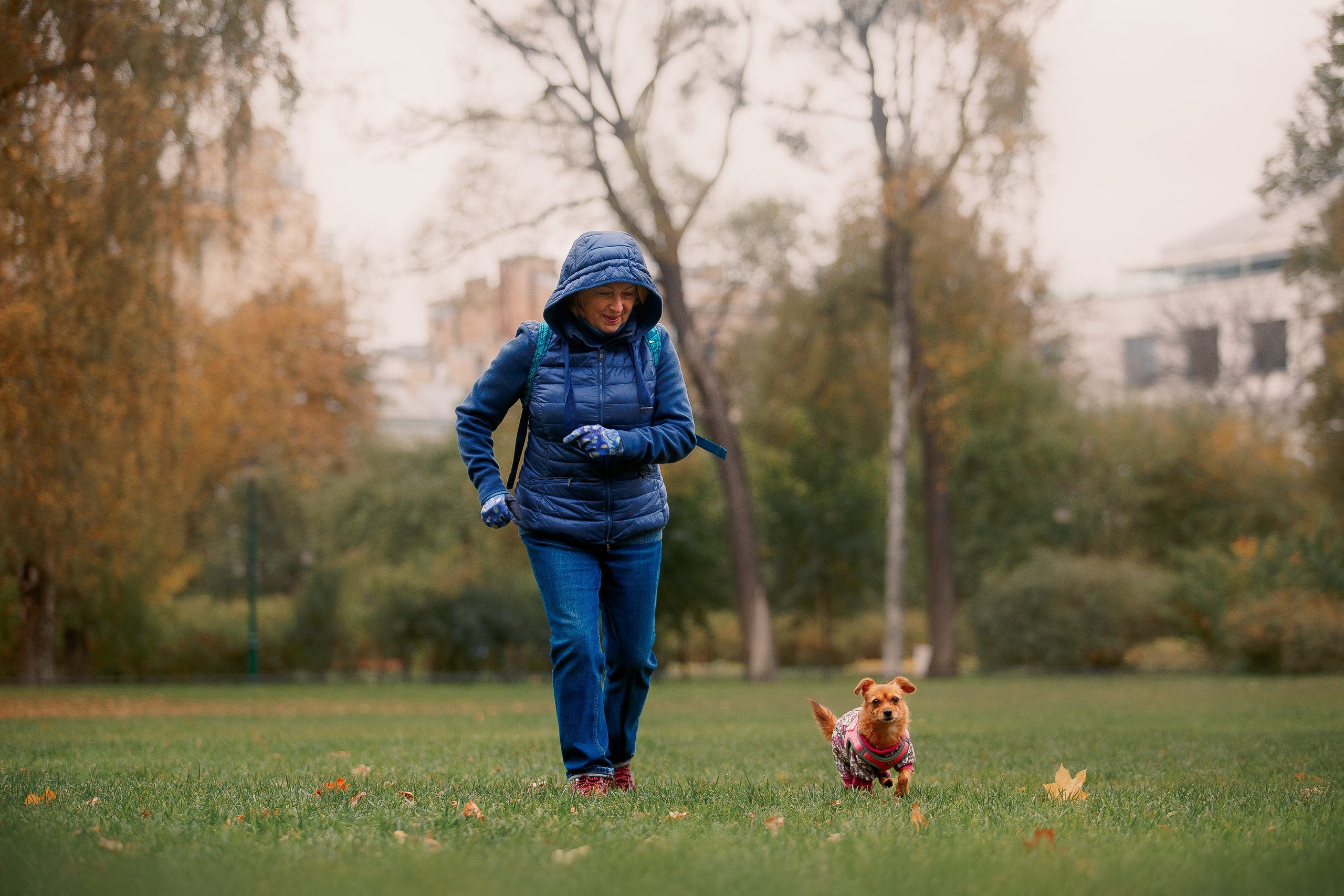 Таврический сад осенью. Фотограф-анималист Наталия Чистюхина в г. Сосновый Бор и ЛО