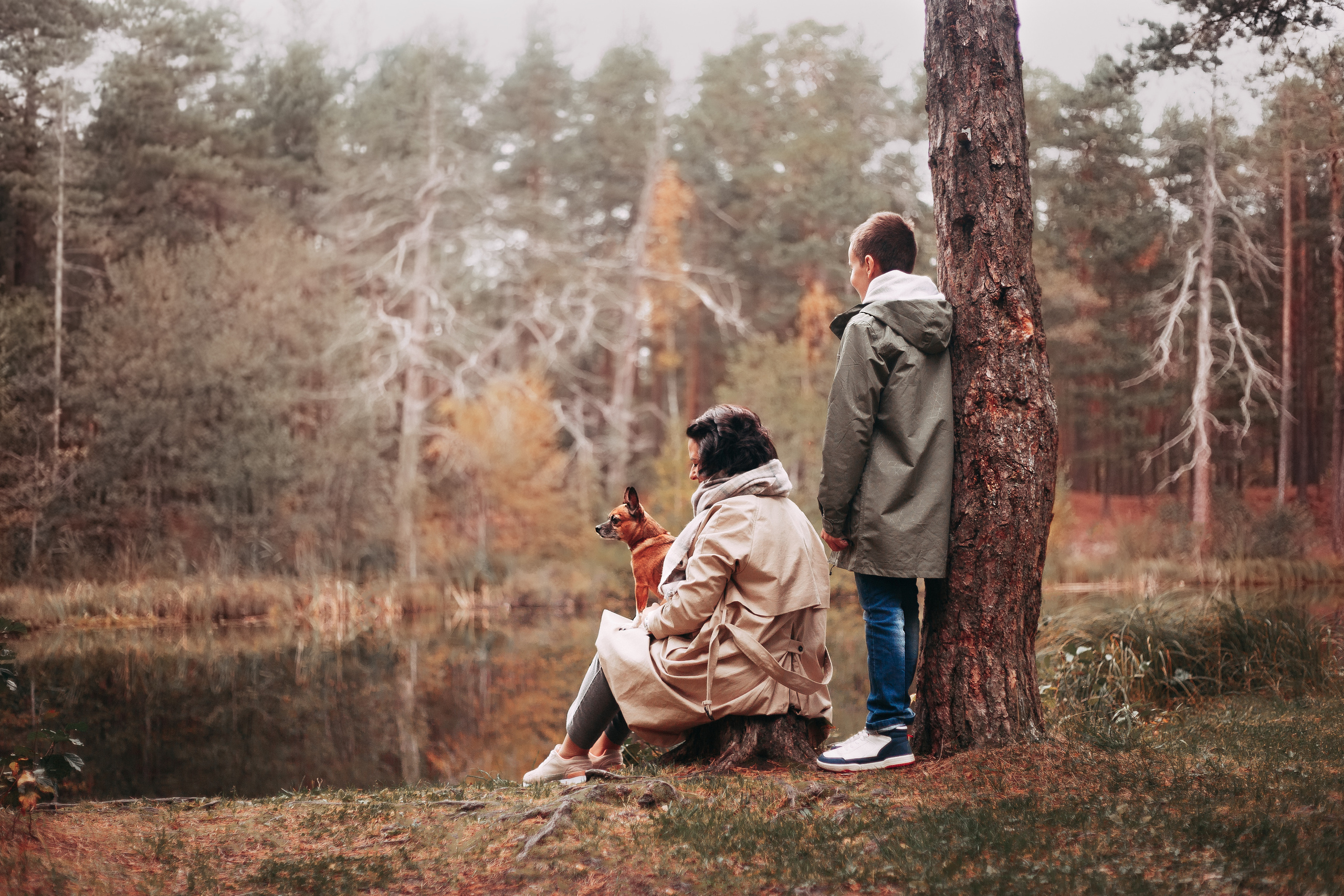 Осенний лес в Сосновом Бору. Фотограф-анималист Наталия Чистюхина в г. Сосновый Бор и ЛО