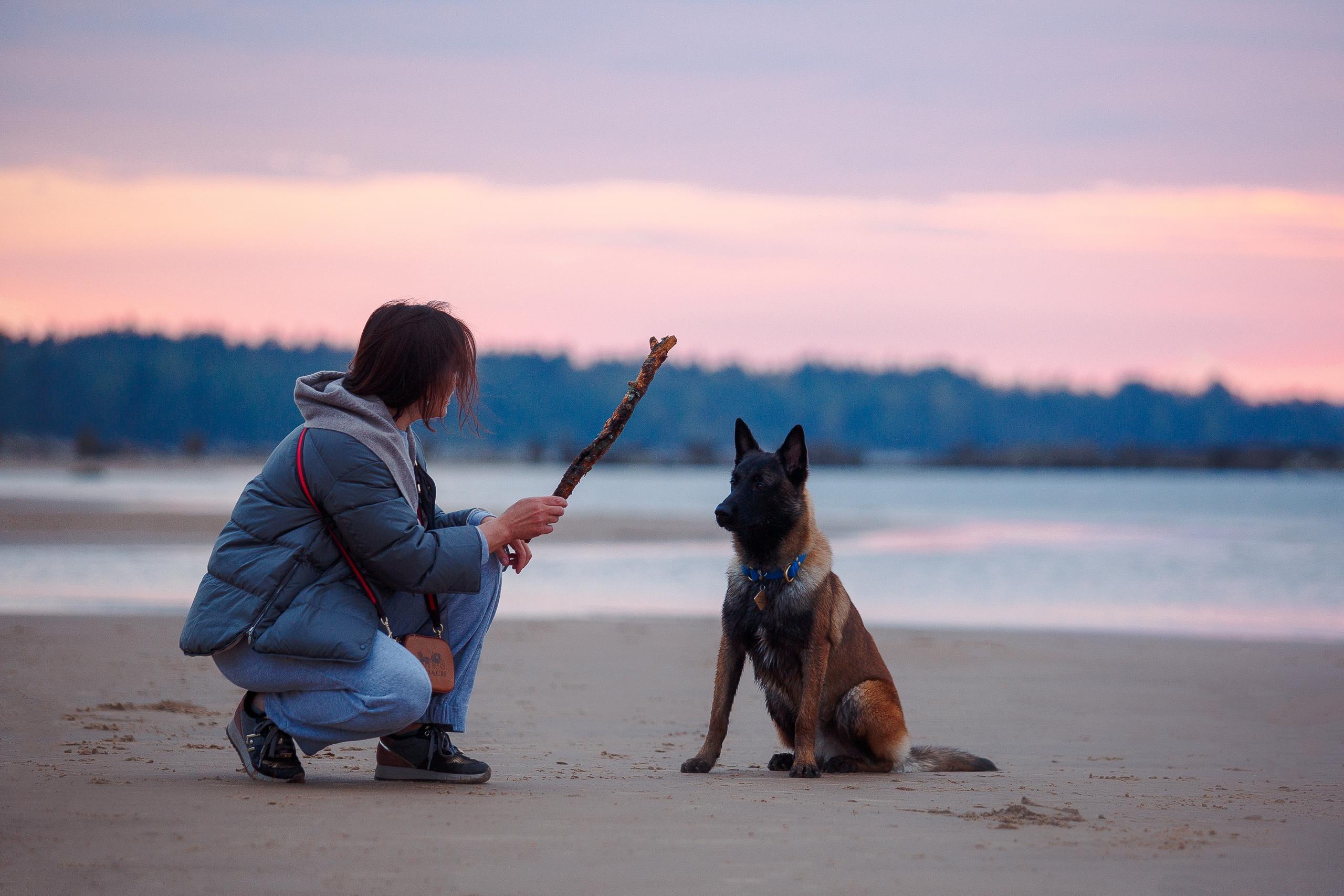 Закат на Финском заливе. Фотограф-анималист Наталия Чистюхина в г. Сосновый Бор и ЛО