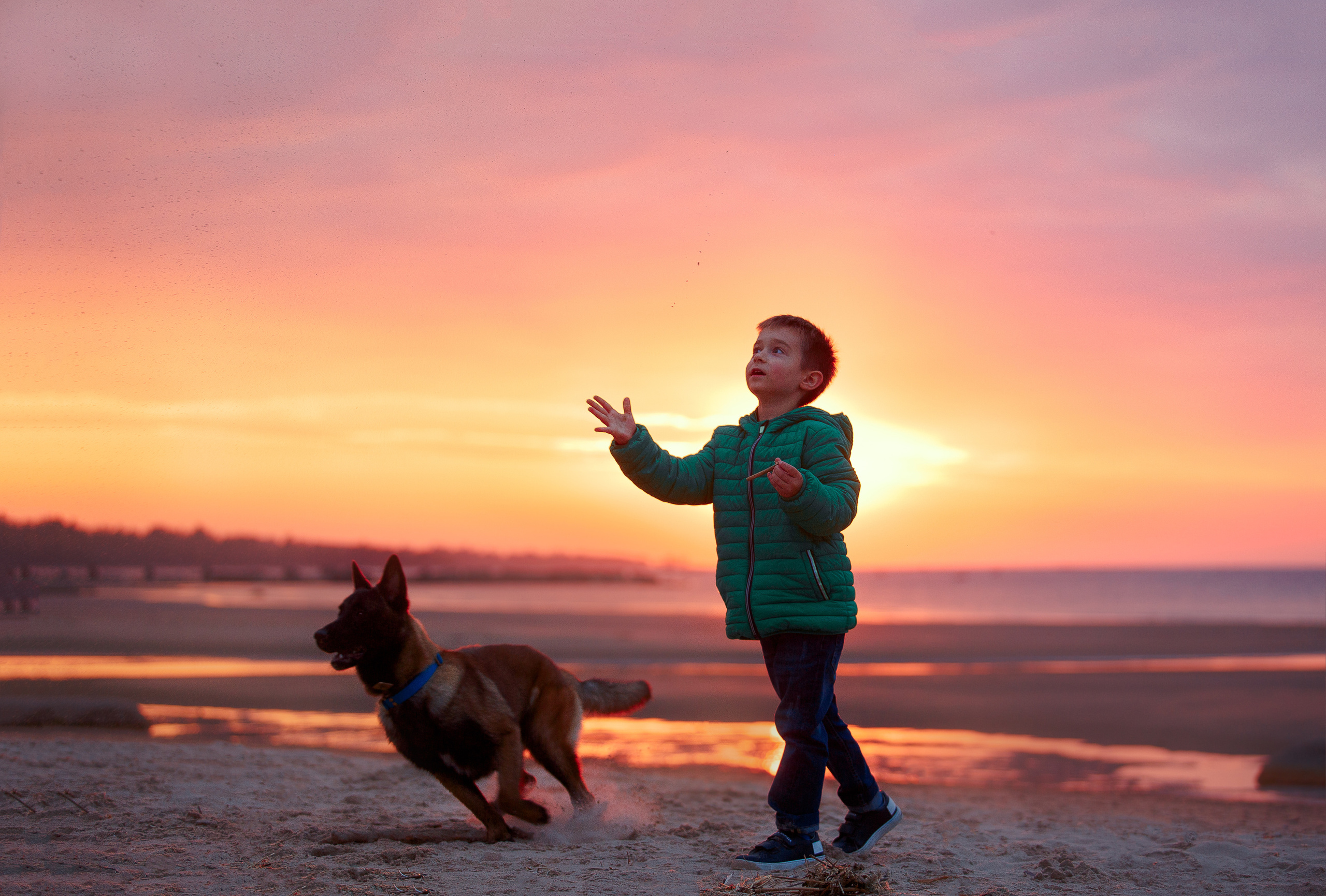 Закат на Финском заливе. Фотограф-анималист Наталия Чистюхина в г. Сосновый Бор и ЛО