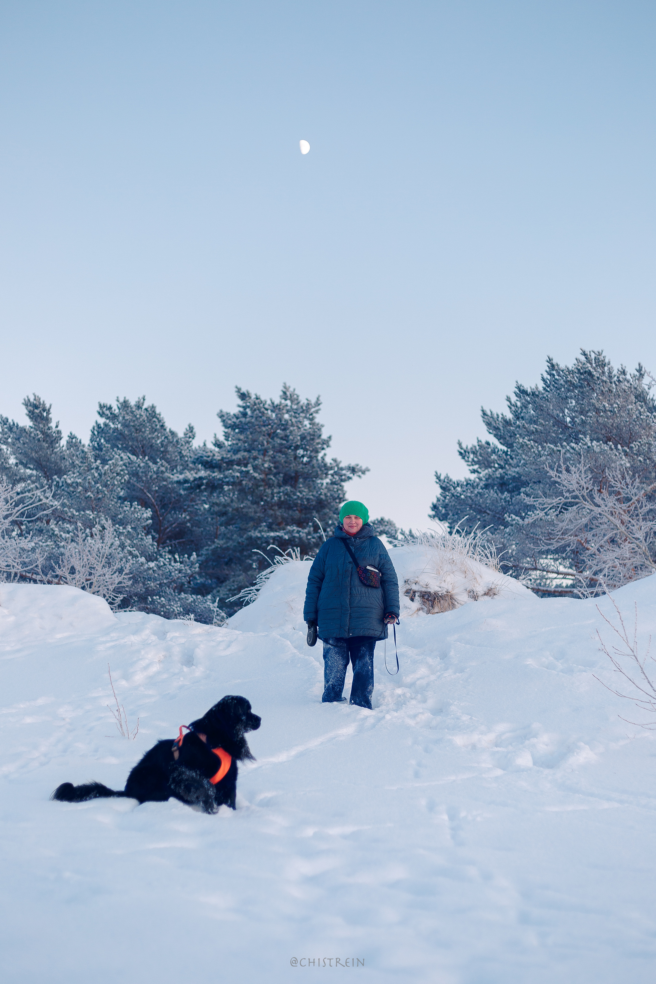 Модя. Закат на Финском заливе. Фотограф-анималист Наталия Чистюхина в г. Сосновый Бор и ЛО