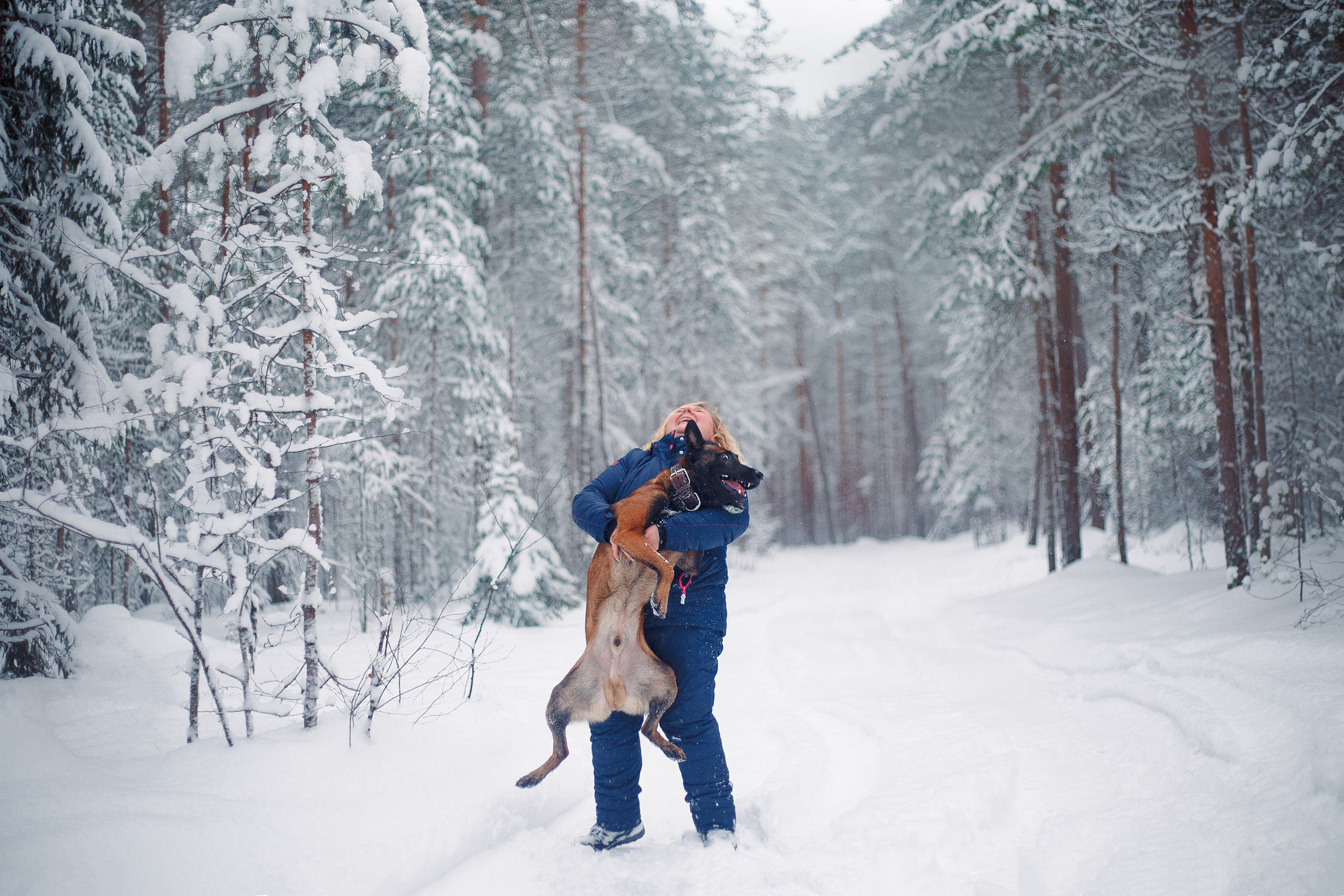 Зима и малинуа. Фотограф-анималист Наталия Чистюхина в г. Сосновый Бор и ЛО
