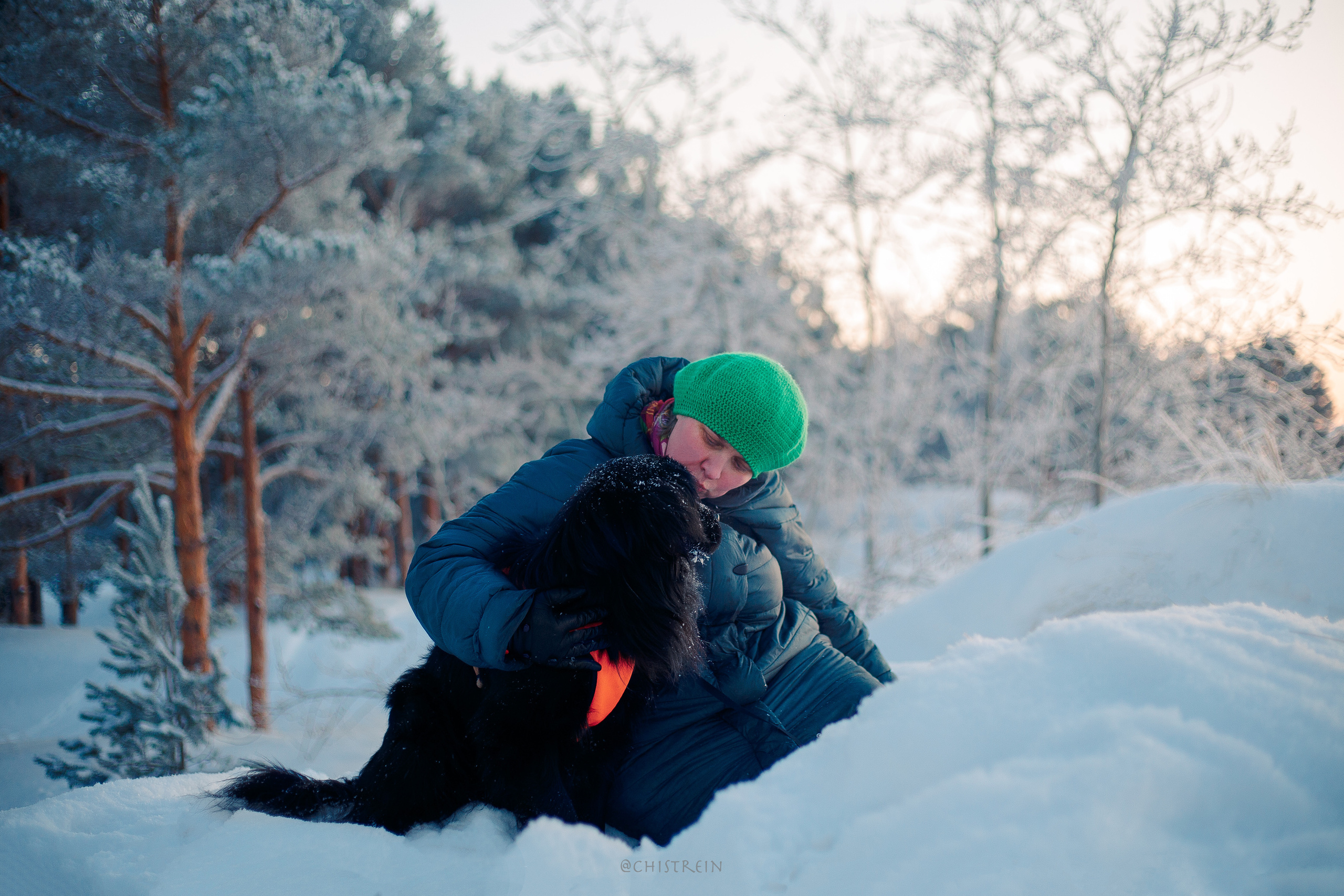 Модя. Закат на Финском заливе. Фотограф-анималист Наталия Чистюхина в г. Сосновый Бор и ЛО