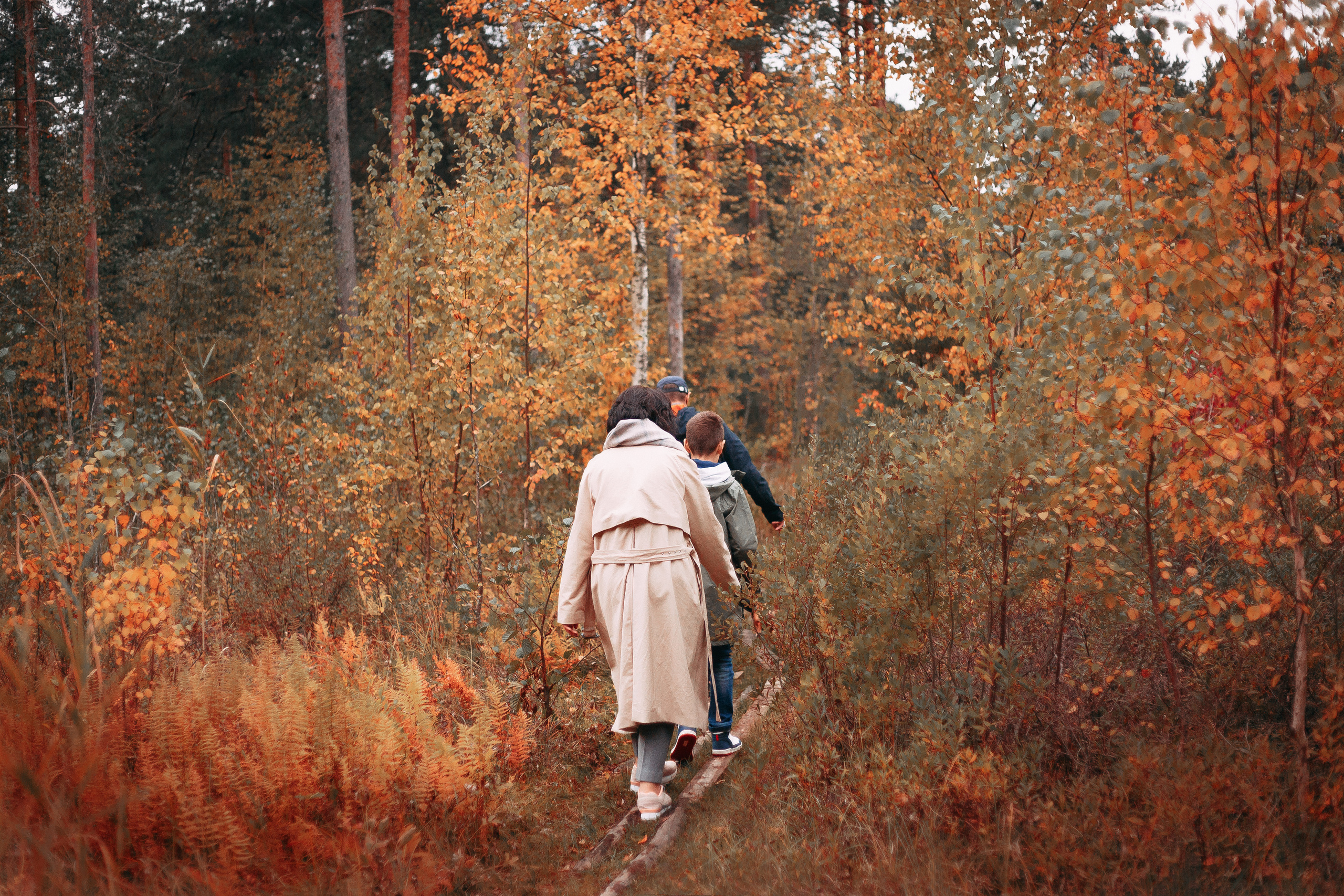 Осенний лес в Сосновом Бору. Фотограф-анималист Наталия Чистюхина в г. Сосновый Бор и ЛО