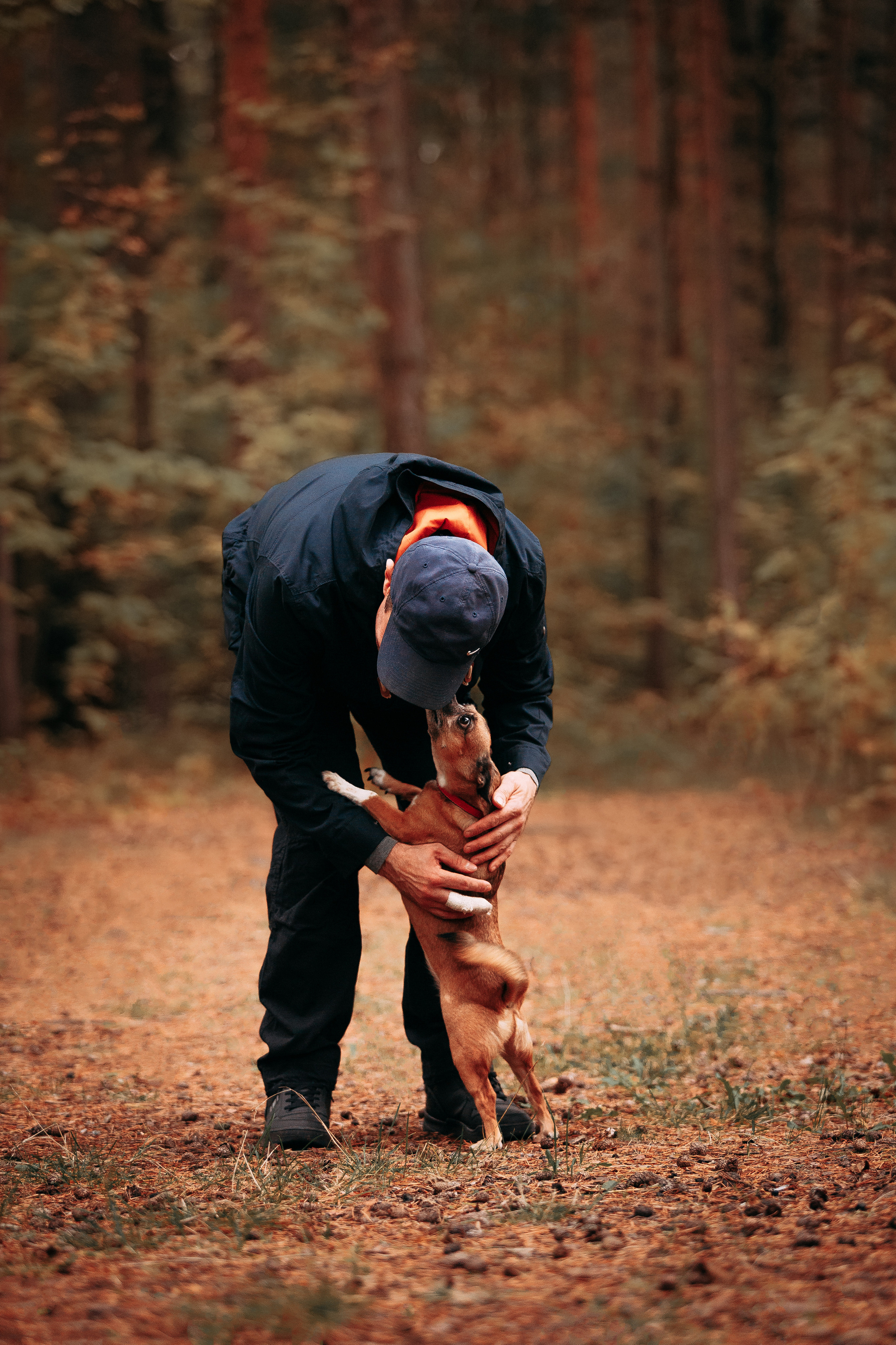 Осенний лес в Сосновом Бору. Фотограф-анималист Наталия Чистюхина в г. Сосновый Бор и ЛО