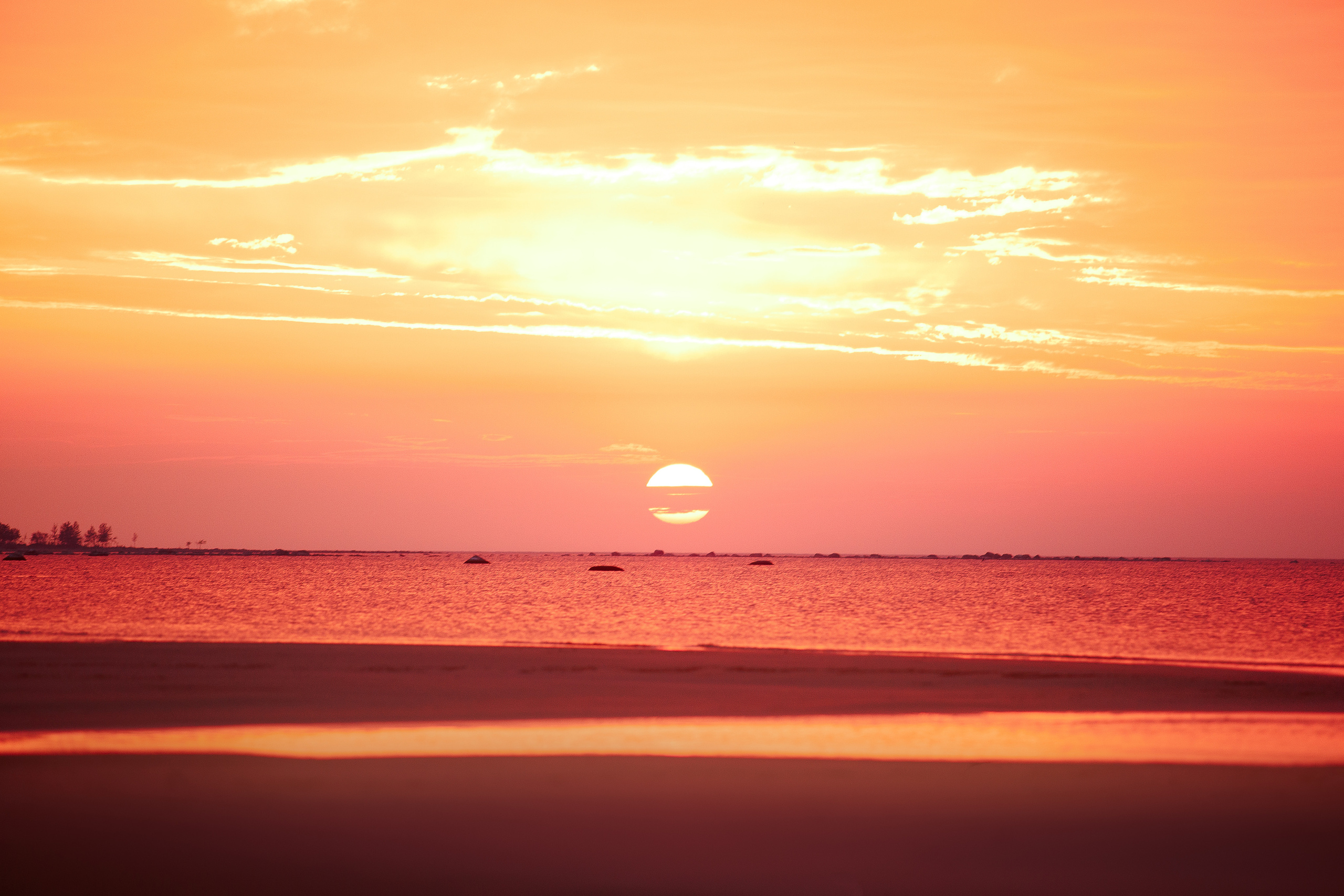 Закат на Финском заливе. Фотограф-анималист Наталия Чистюхина в г. Сосновый Бор и ЛО