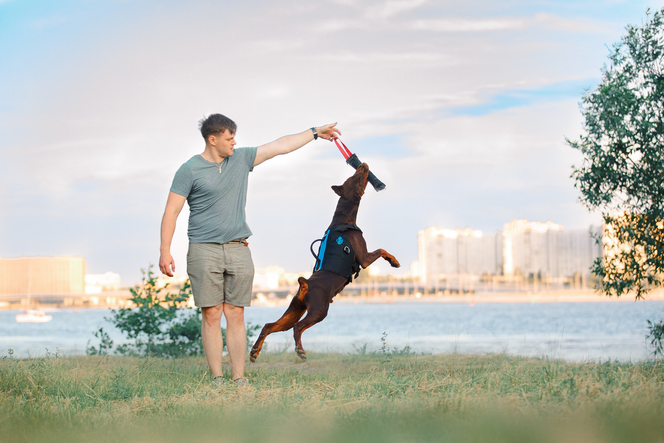 Атлас на Крестовском острове. Фотограф-анималист Наталия Чистюхина в г. Сосновый Бор и ЛО