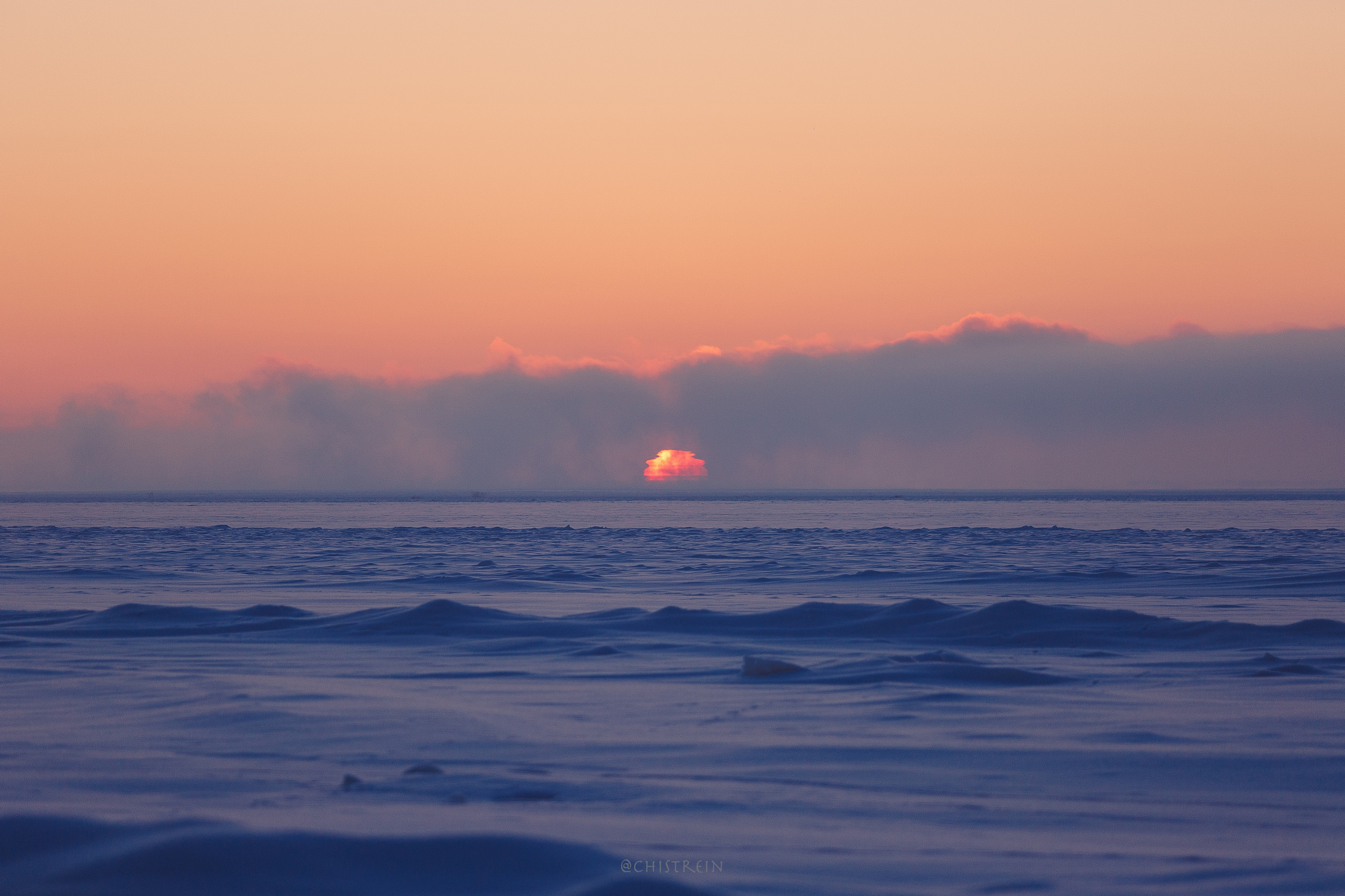 Модя. Закат на Финском заливе. Фотограф-анималист Наталия Чистюхина в г. Сосновый Бор и ЛО