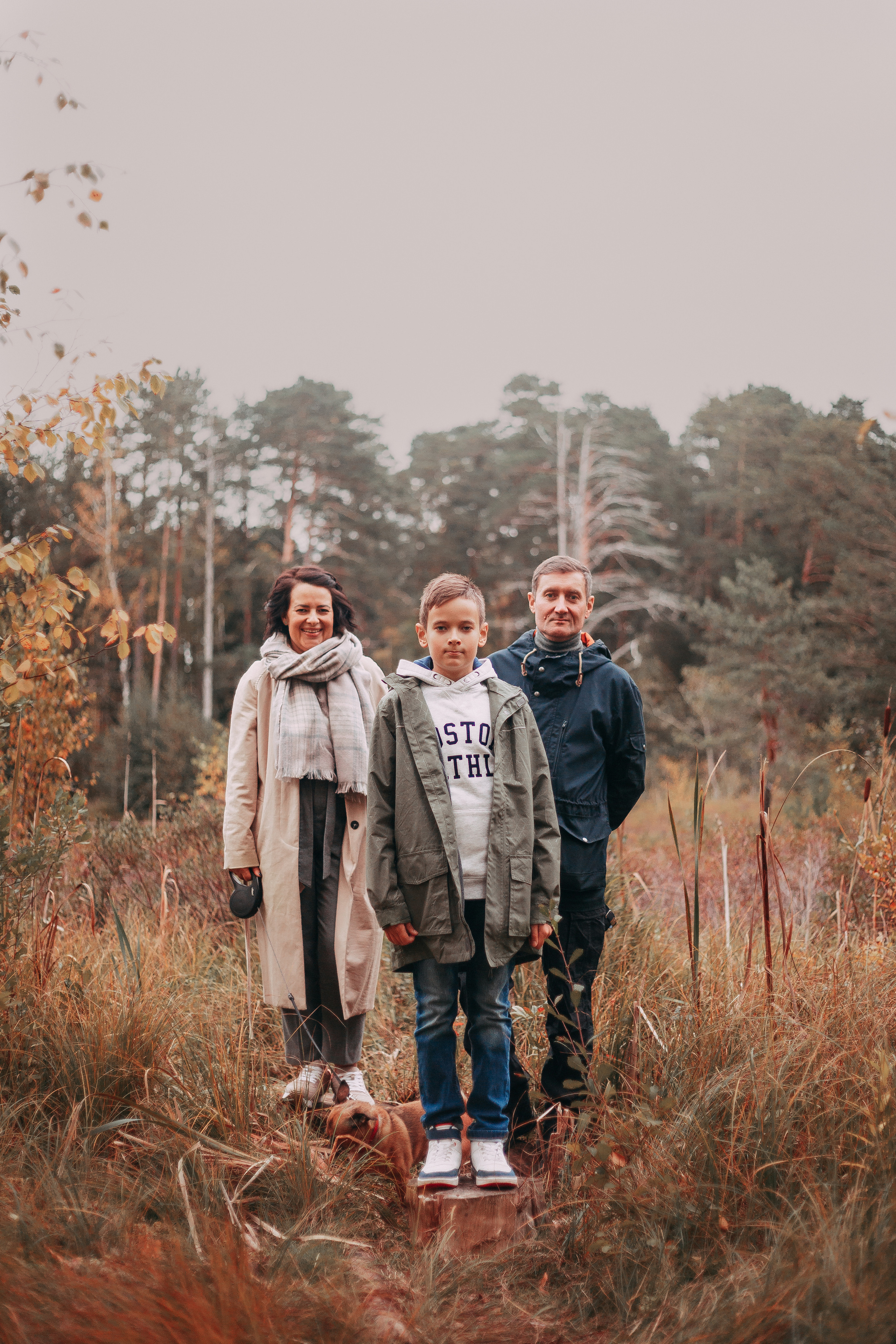 Осенний лес в Сосновом Бору. Фотограф-анималист Наталия Чистюхина в г. Сосновый Бор и ЛО