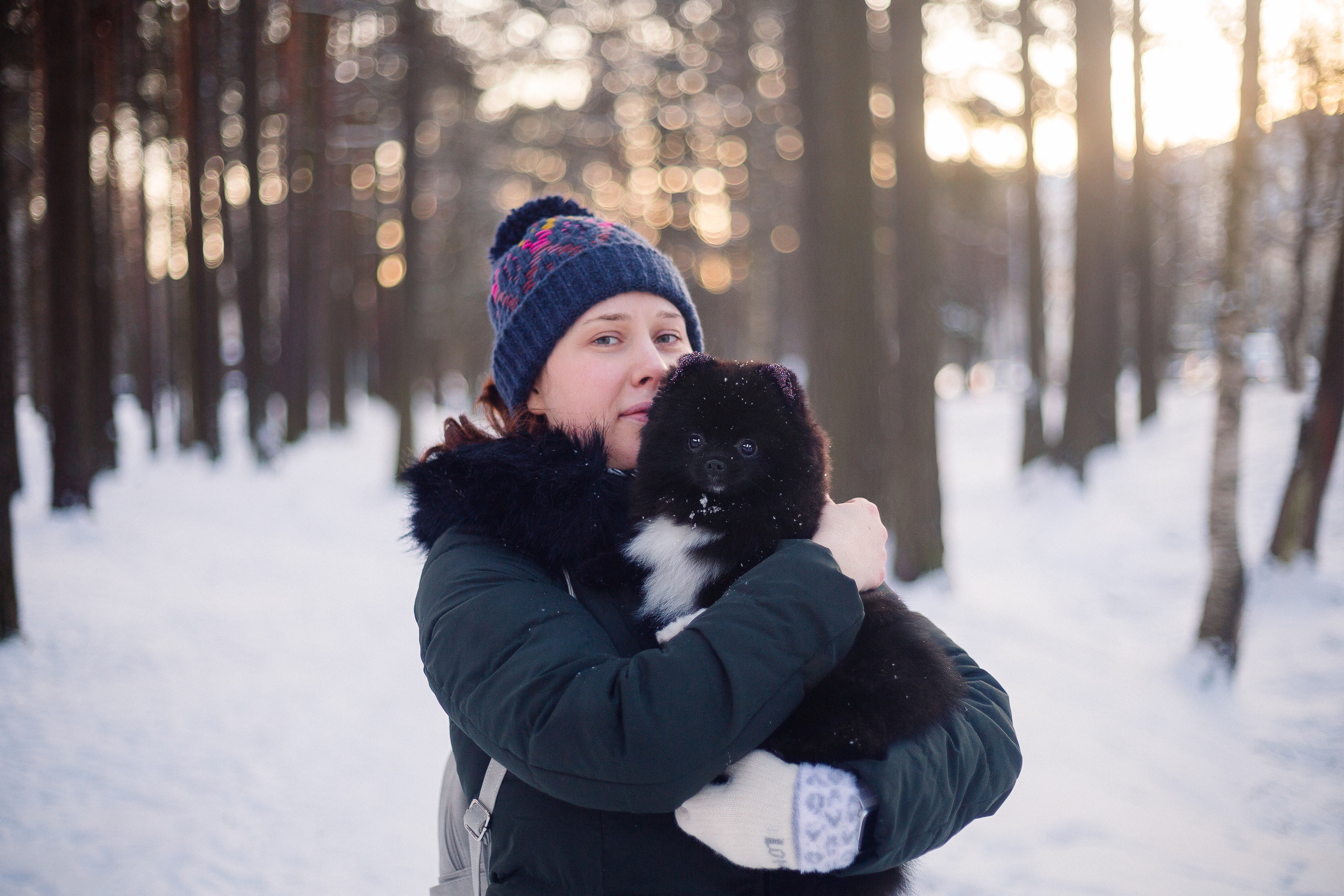 Шпиц Моника. Фотограф-анималист Наталия Чистюхина в г. Сосновый Бор и ЛО